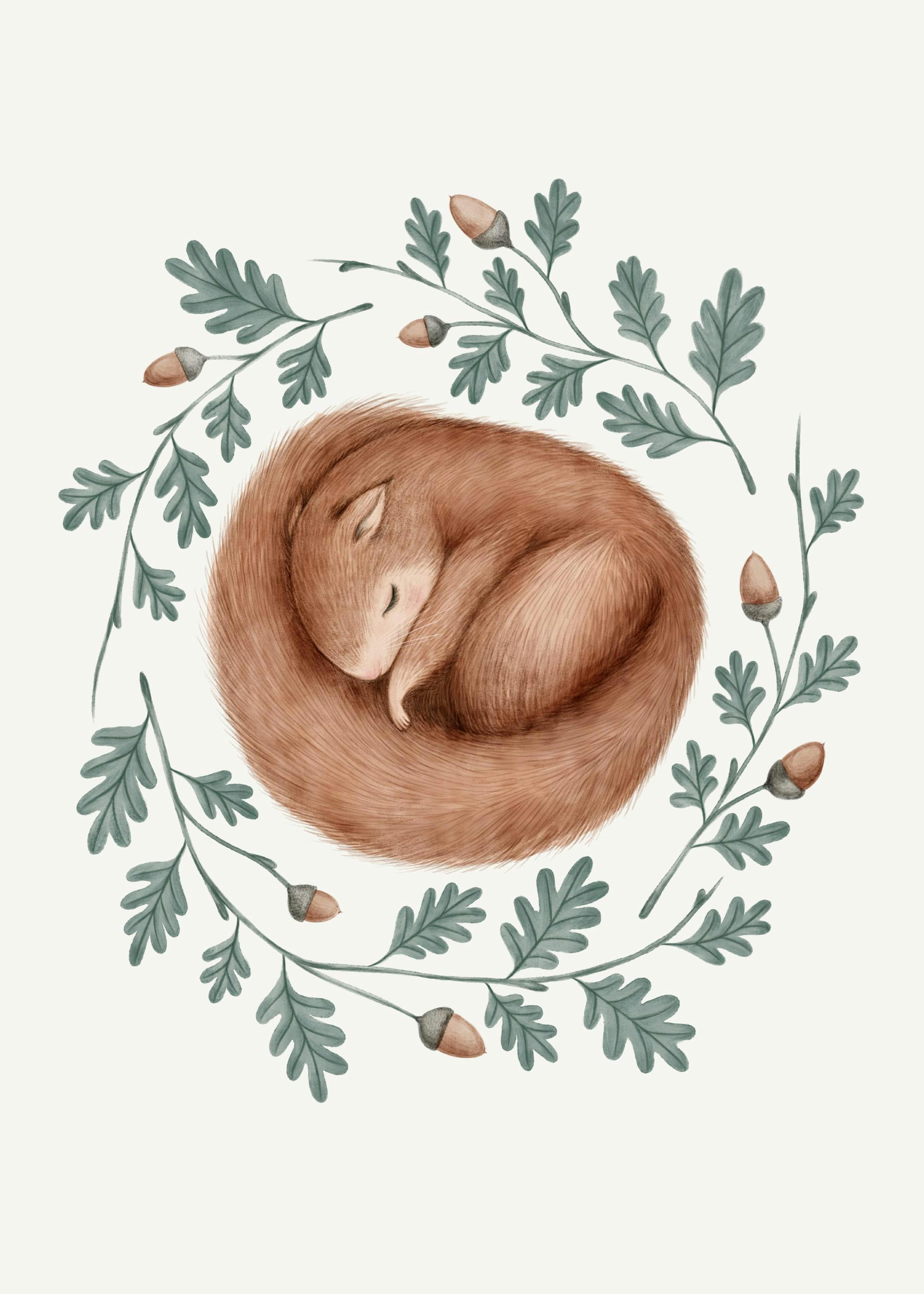 Sleeping Squirrel Poster 0