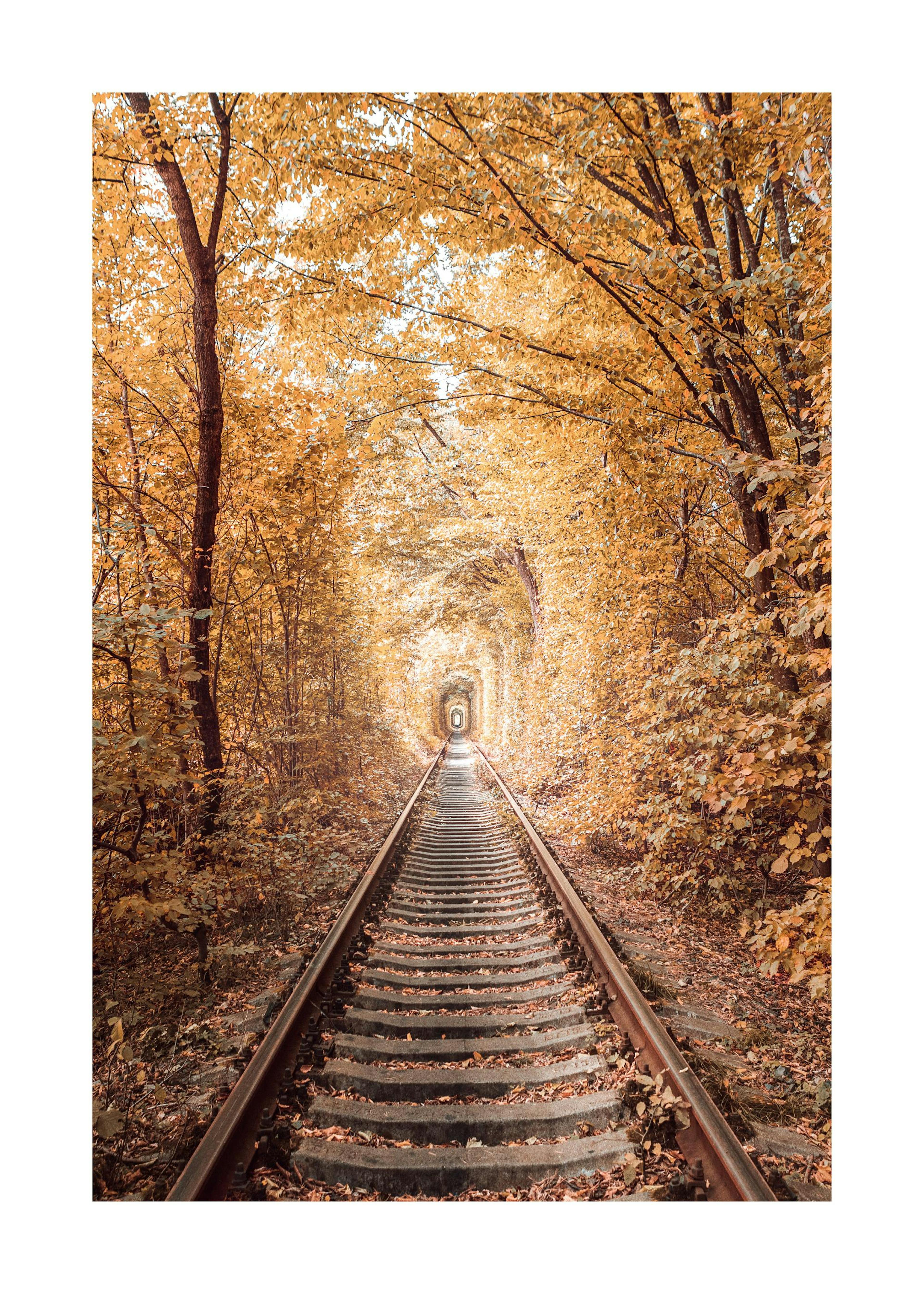 Liefdestunnel Poster 0