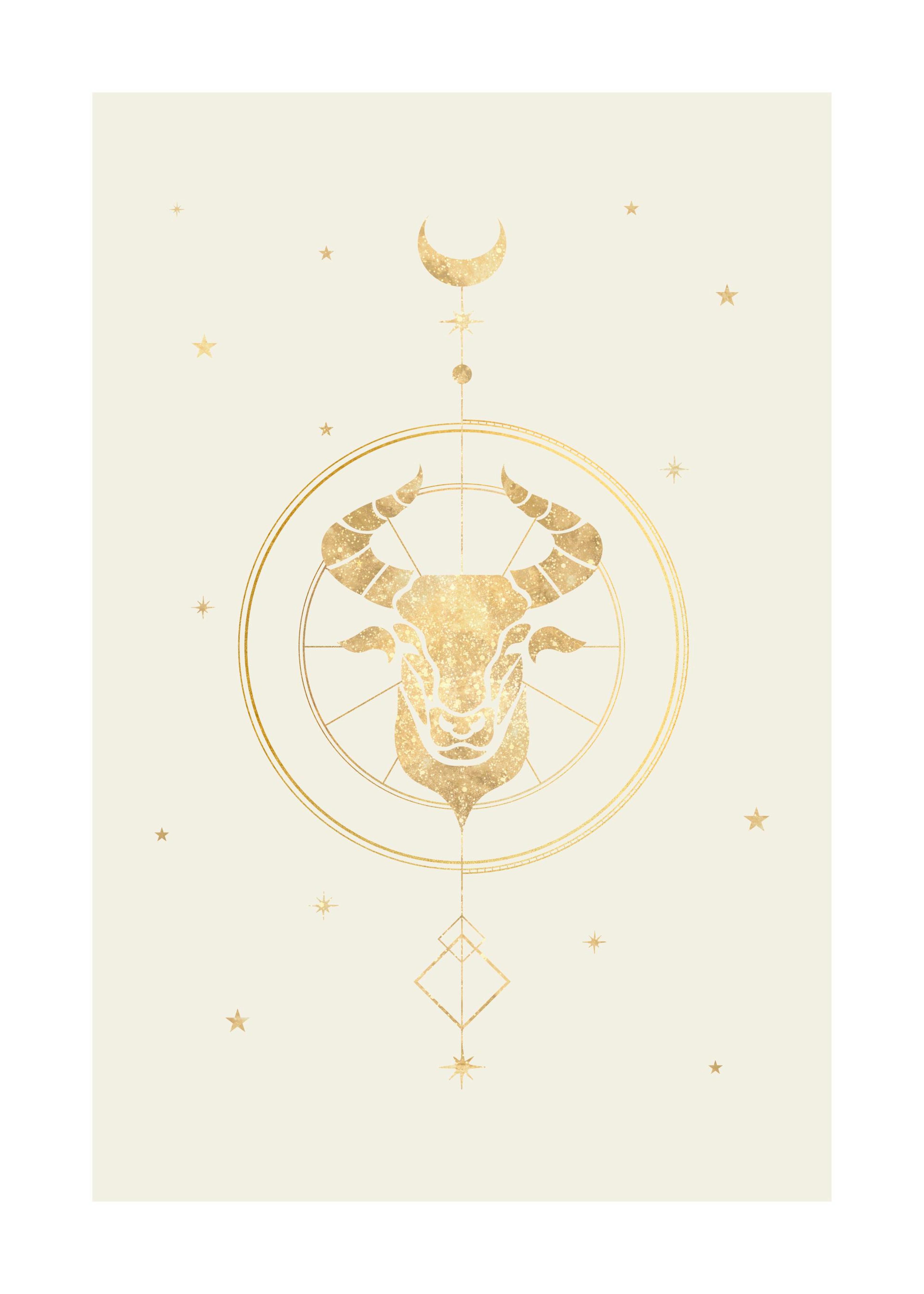 Stier Poster 0