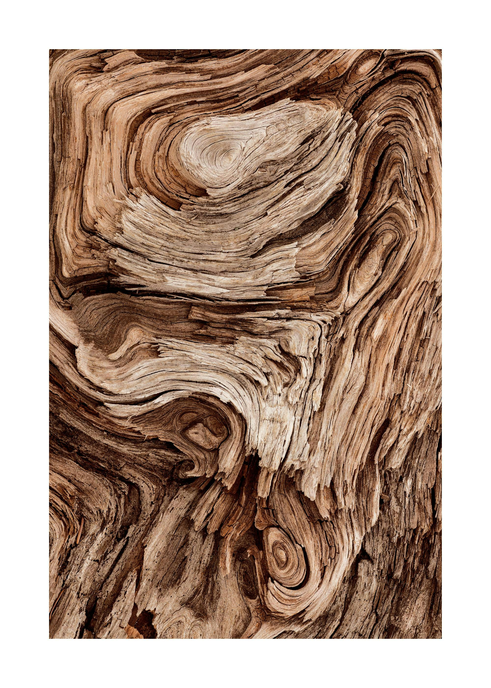 Whirly Wood Poster 0