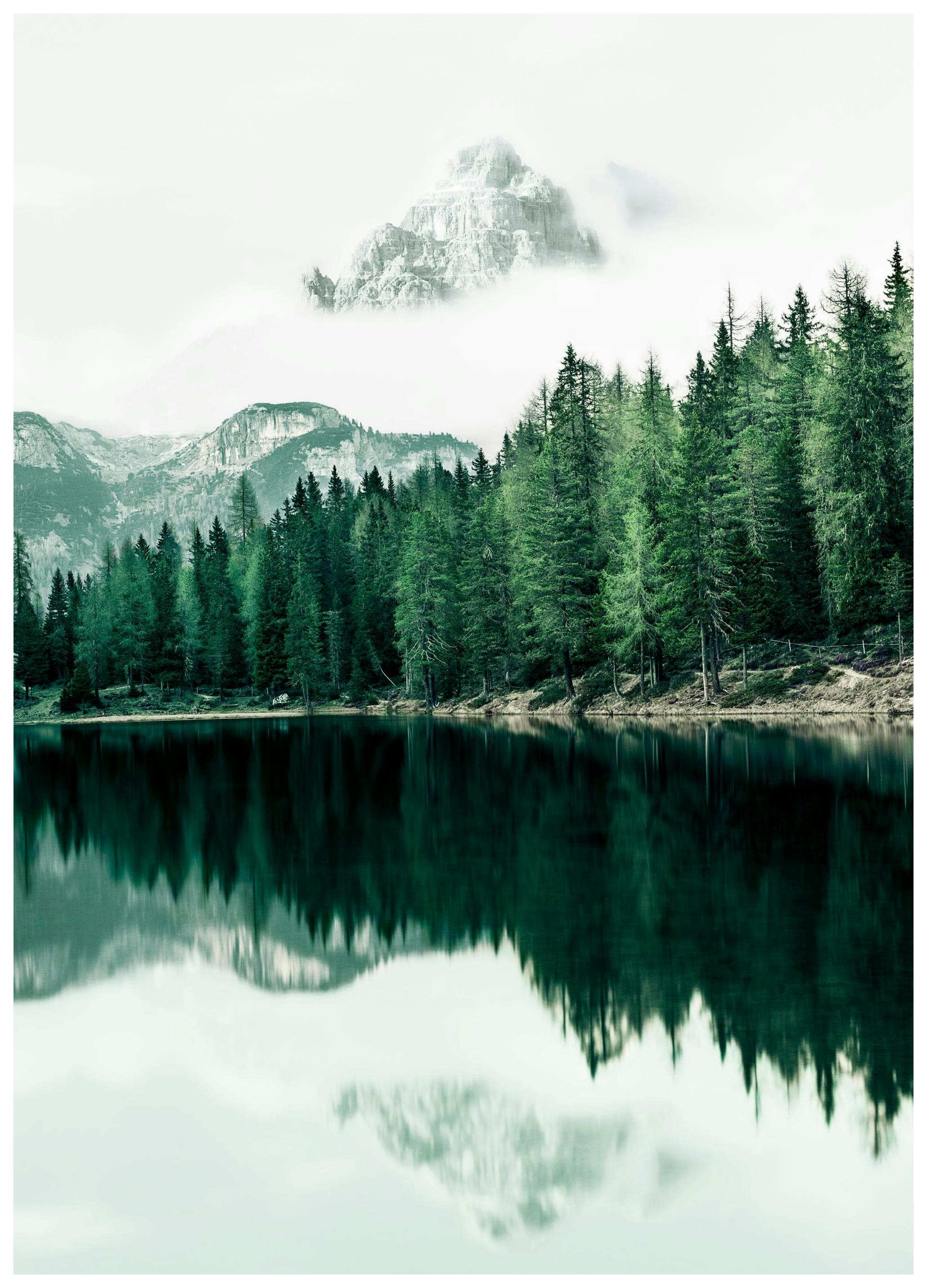 Plakat Leśne Refleksje (21x30 cm) - Poster Store
