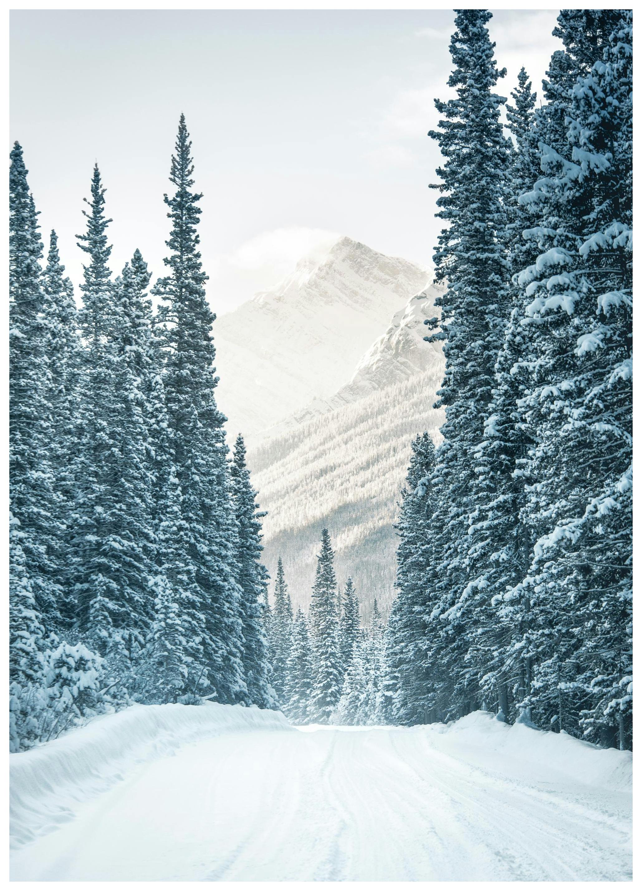 Winter Road Poster (13x18 cm) - Poster Store