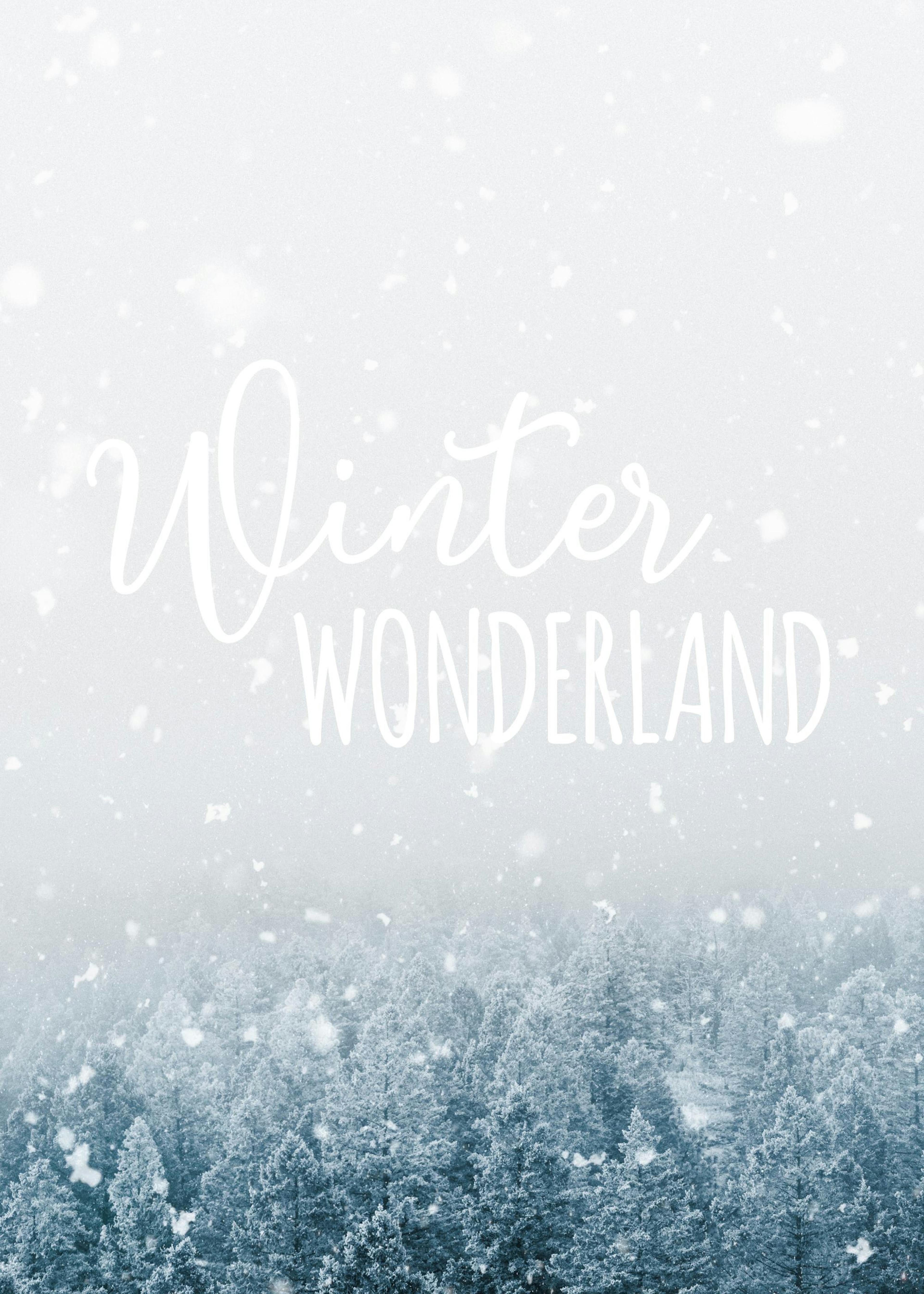 Winter Wonderland Poster 0