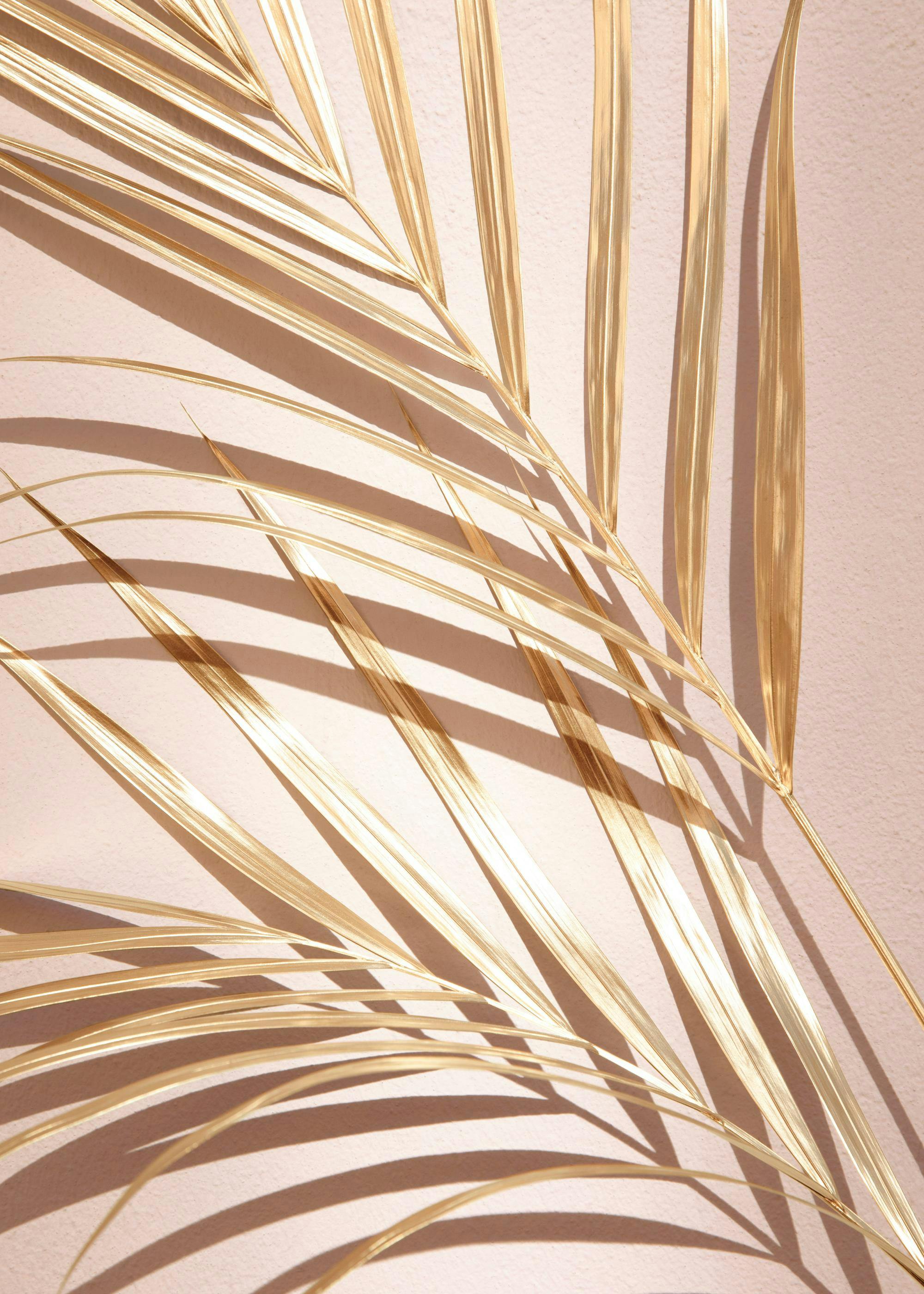 Palmera Dorada Nº1 Póster 0