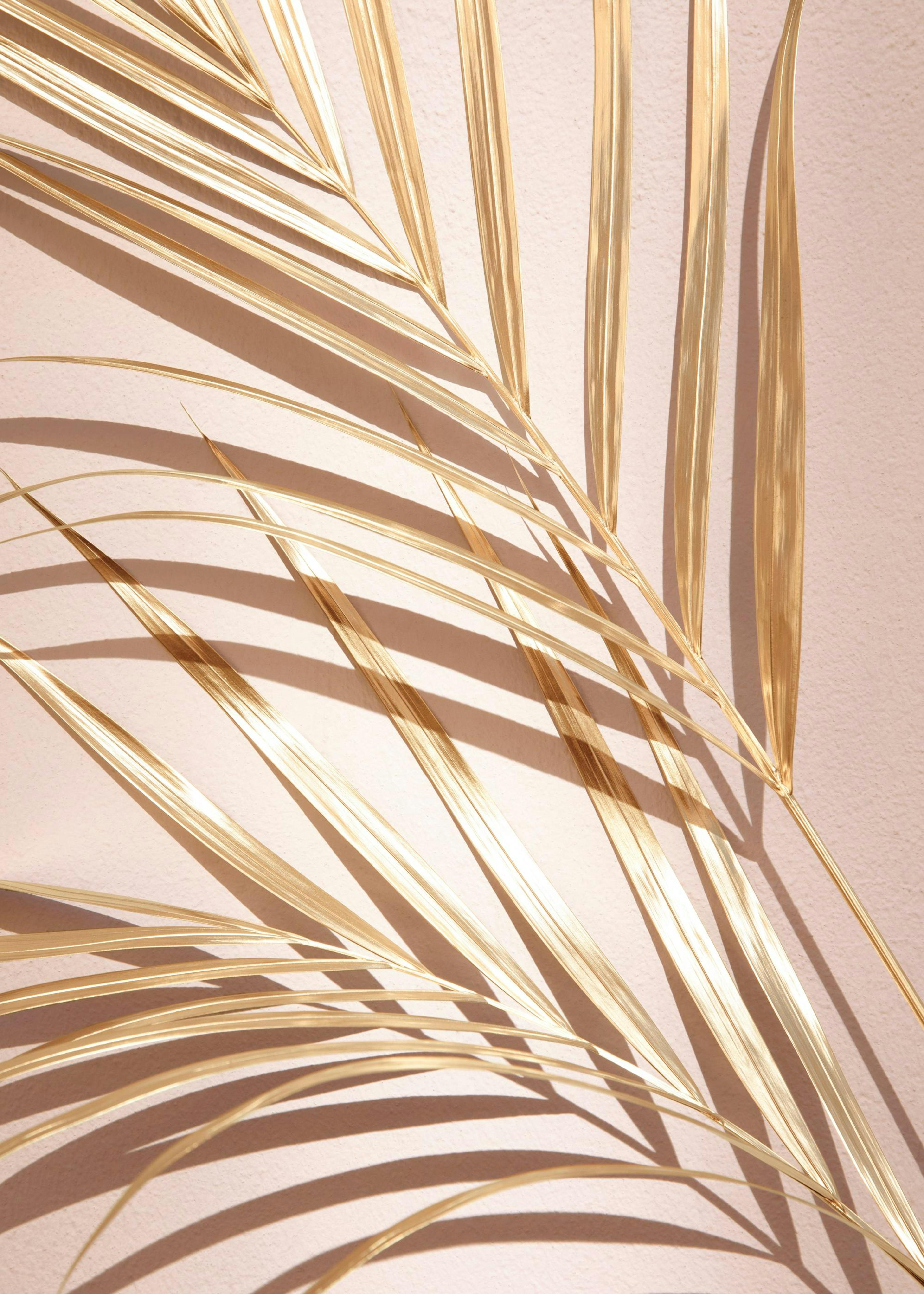 Golden Palm No1 Poster 0
