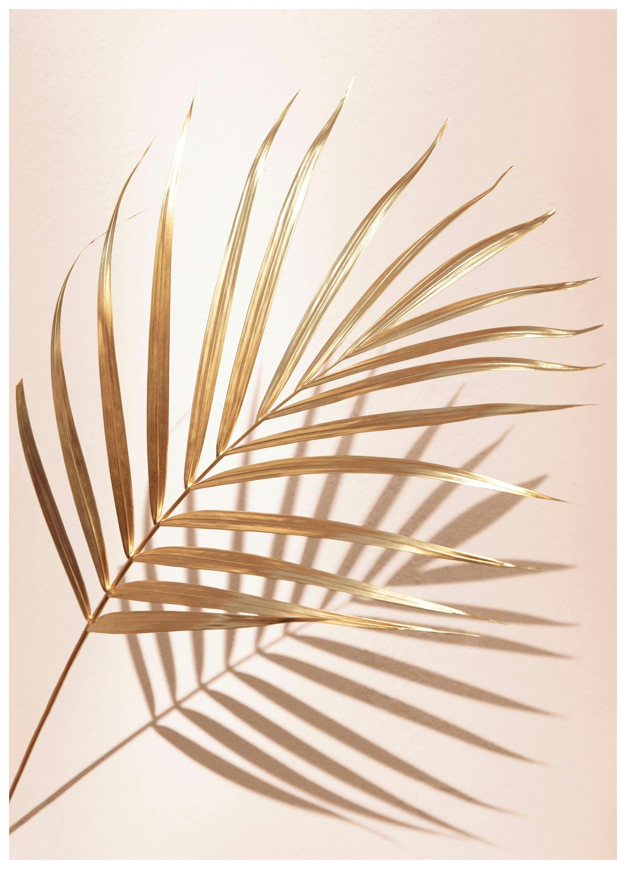 Gouden Palm No2 Poster (50x70 cm) - Poster Store
