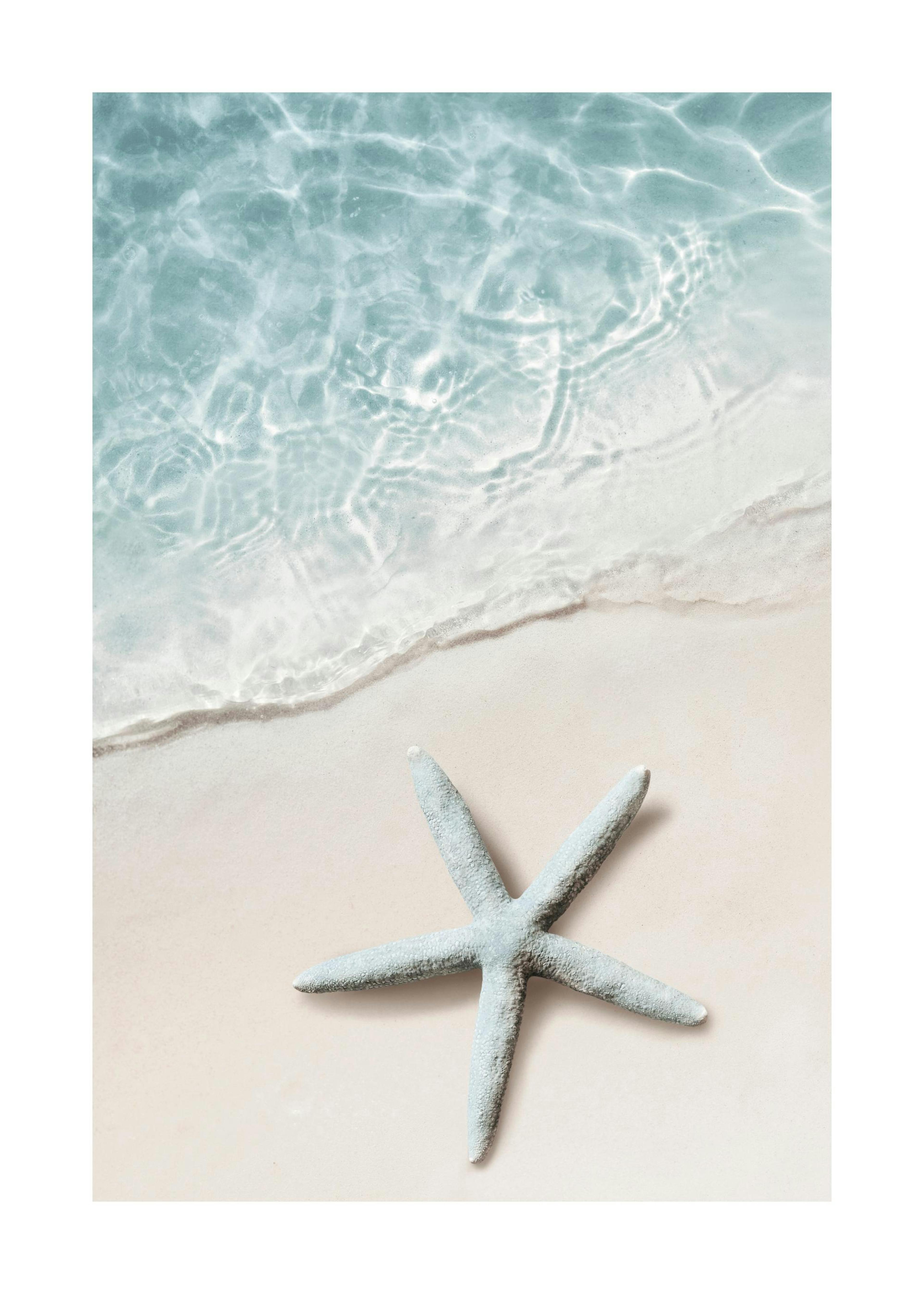 Blue Sea Star Poster 0