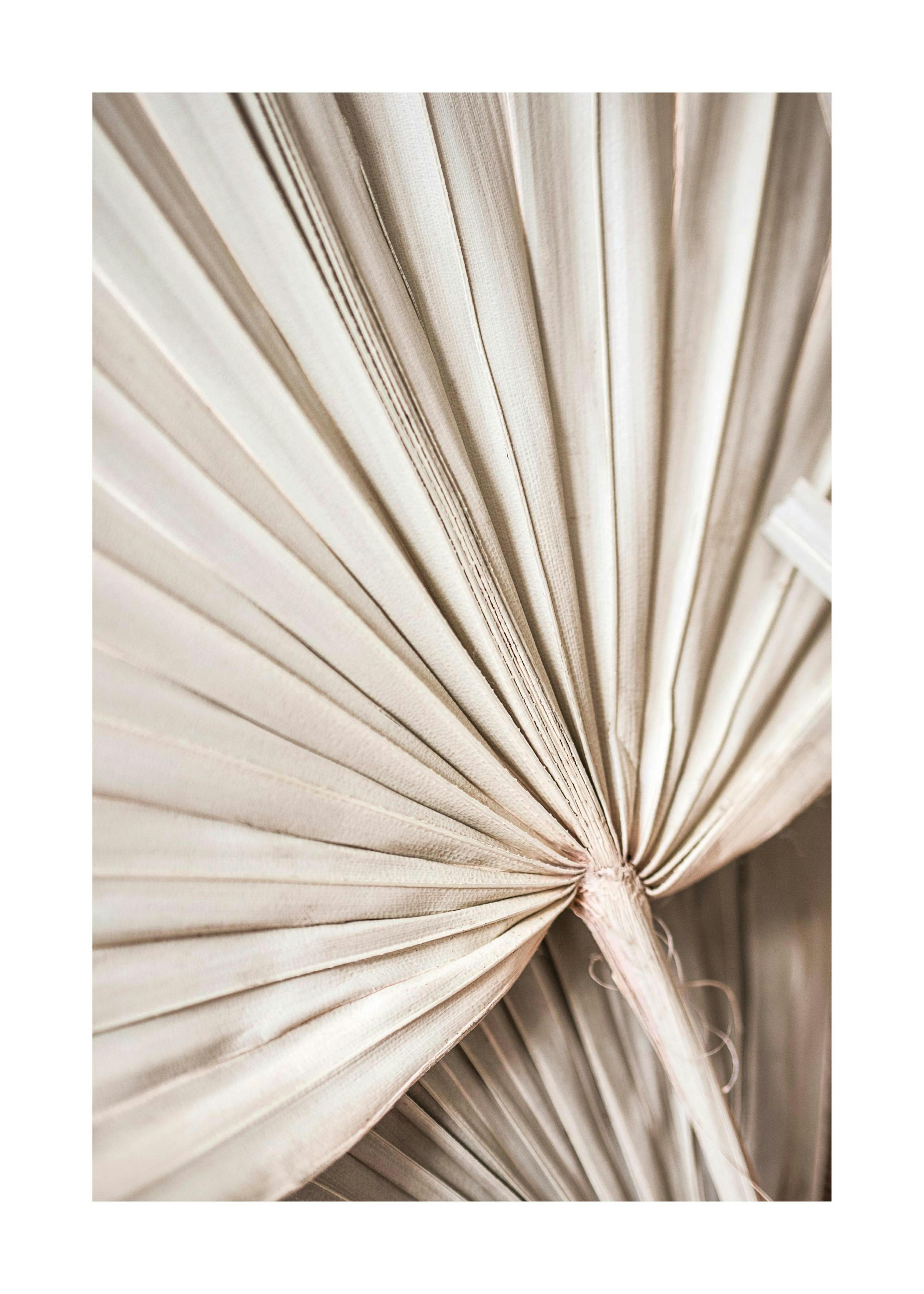 Palmera Beige Nº2 Póster 0
