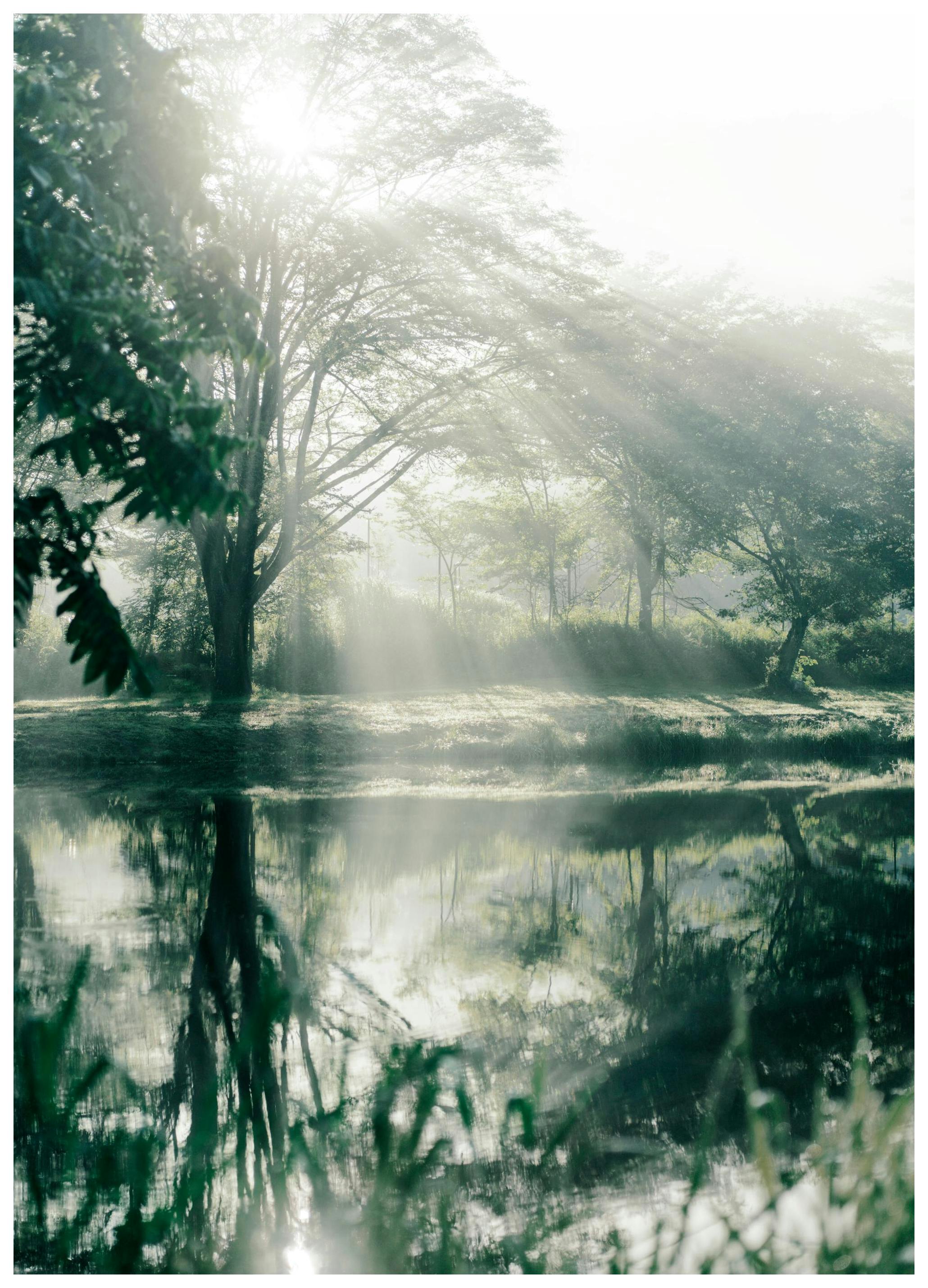 Réflections Rayons Soleil Poster (21x30 cm) - Poster Store