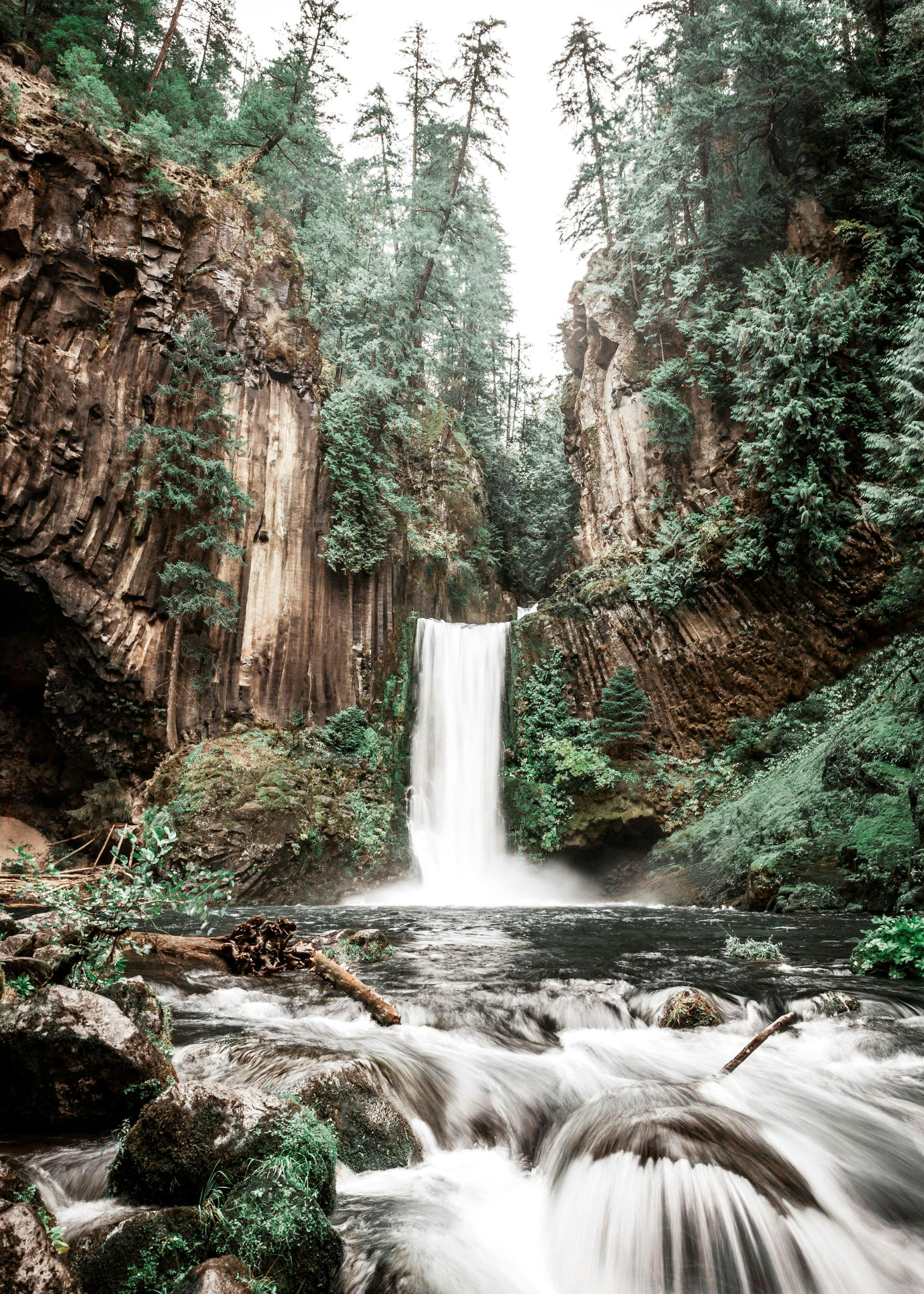 Forest Waterfall Poster 0