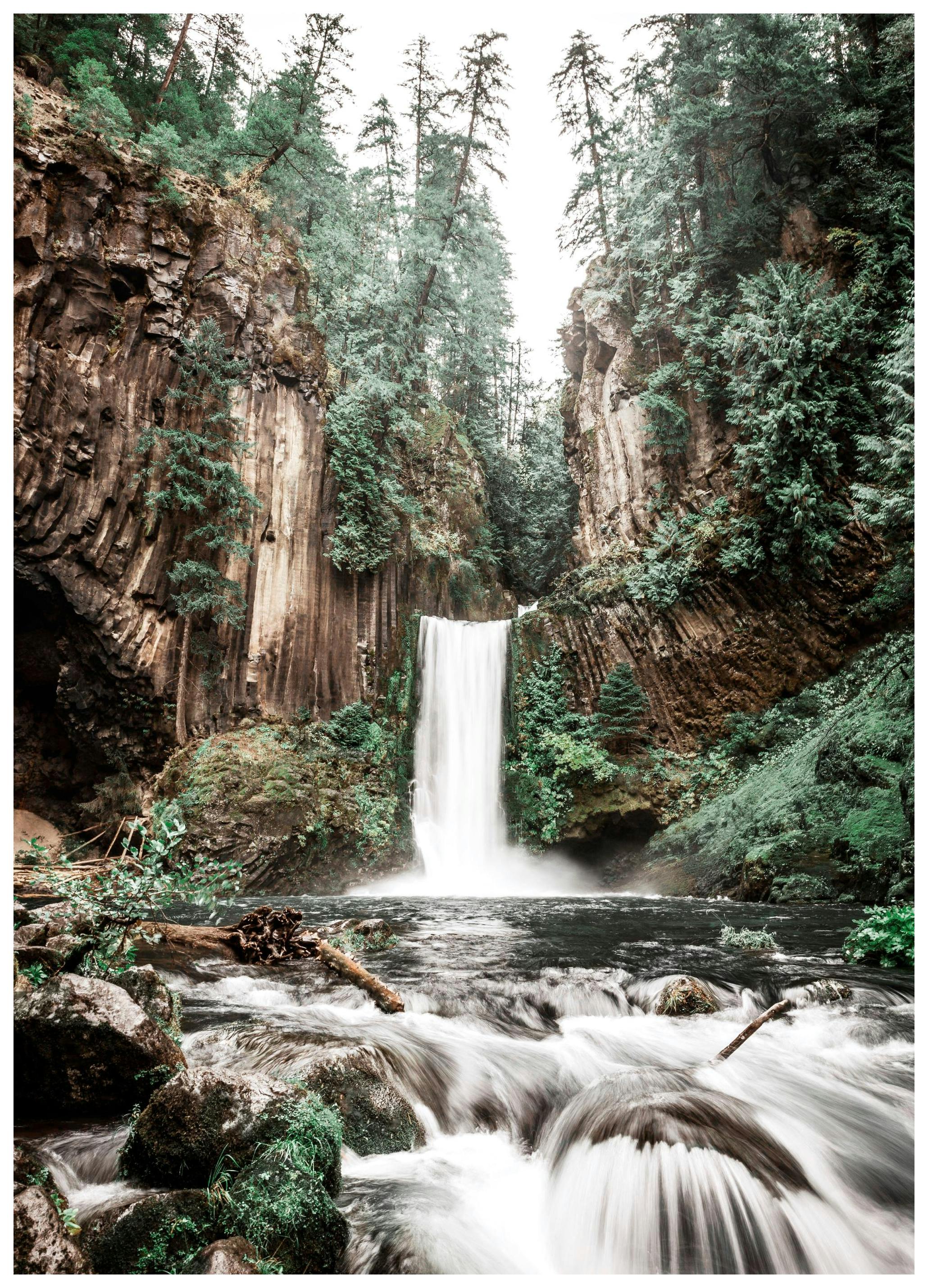 Prints Forest Waterfall Poster (21x30 cm) - Poster Store