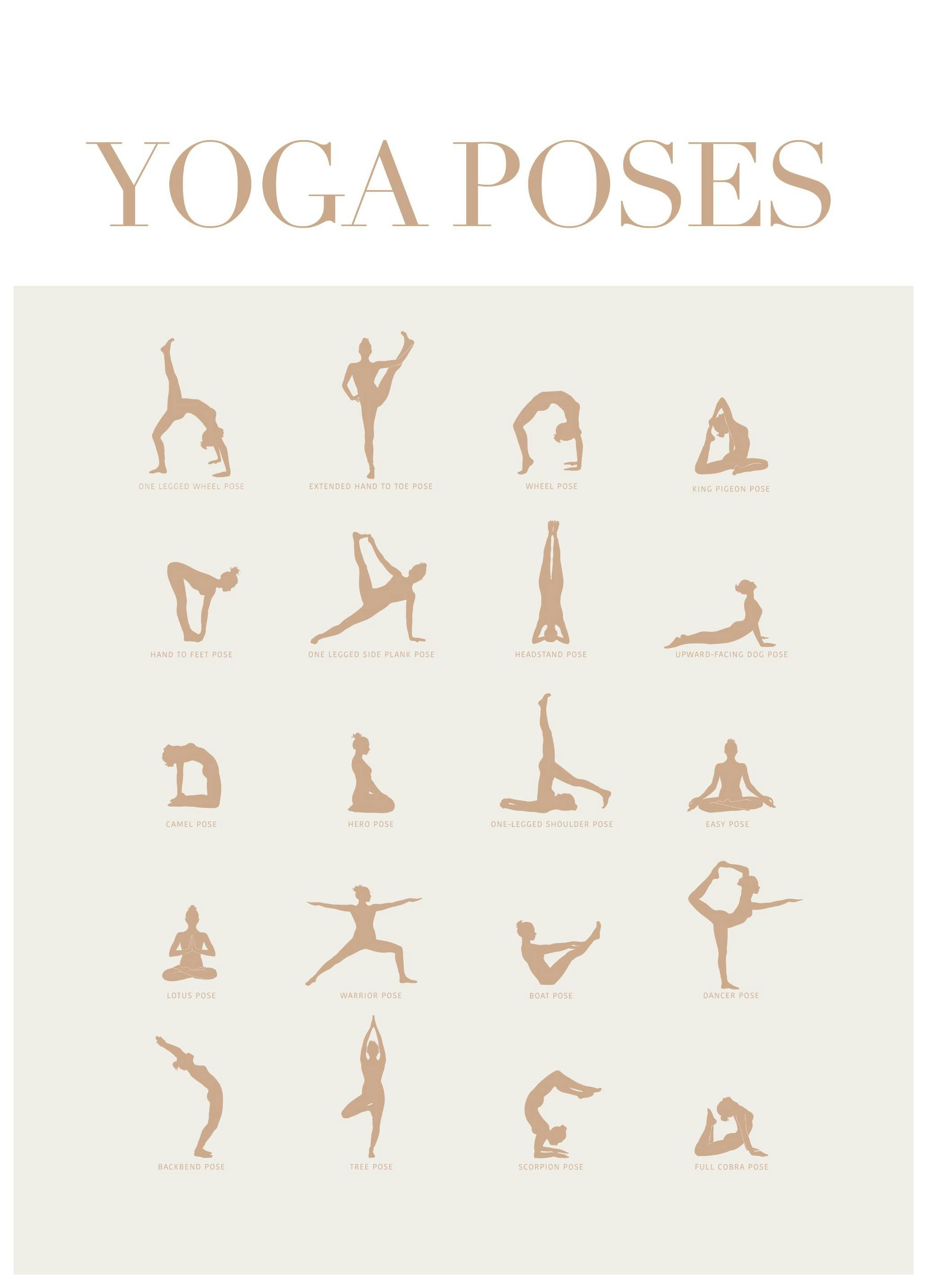 Yoga Poses Poster (21x30 cm) - Poster Store