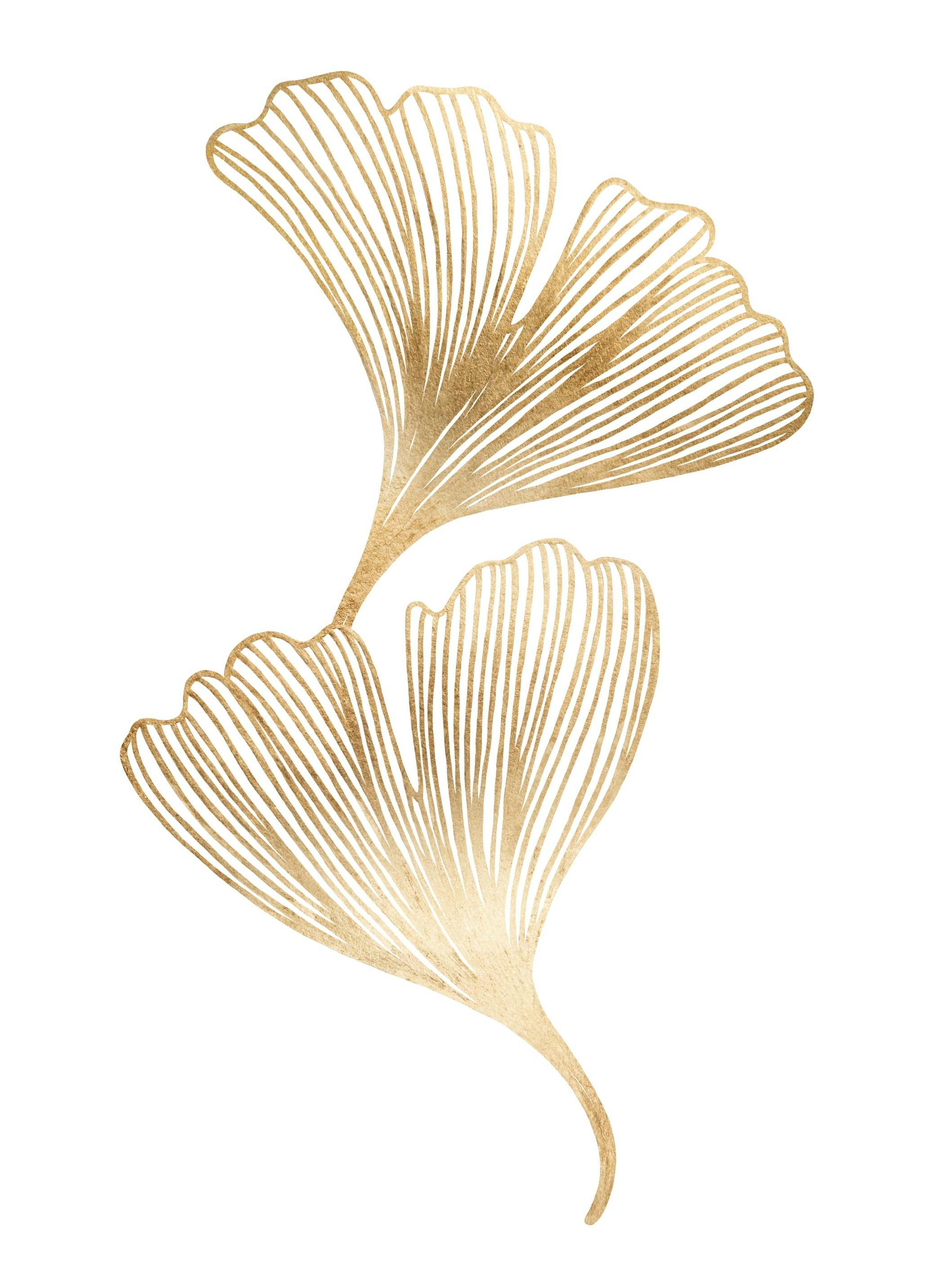 Gouden Ginkgo Poster (30x40 cm) - Poster Store