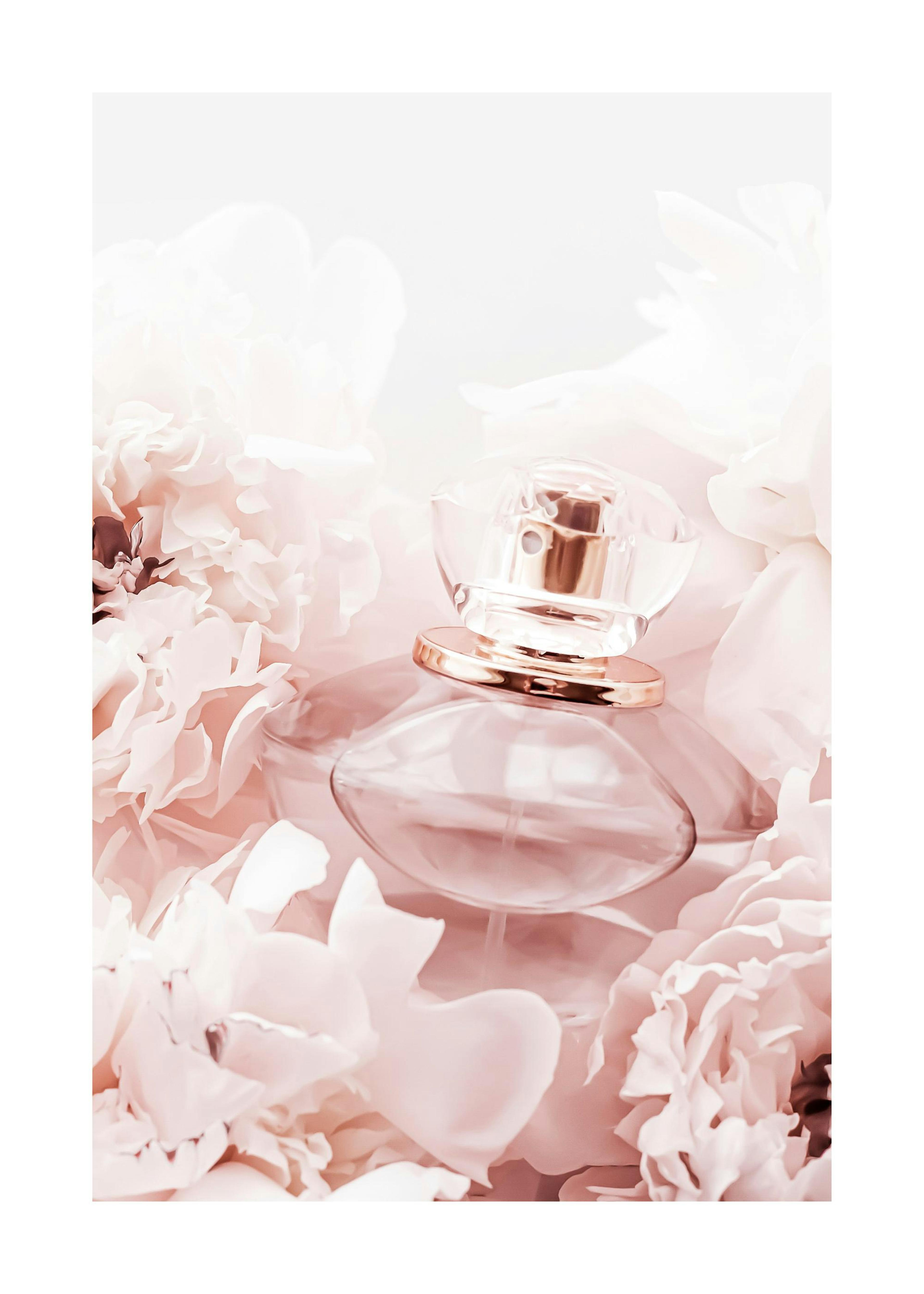 Pink Scent Poster 0