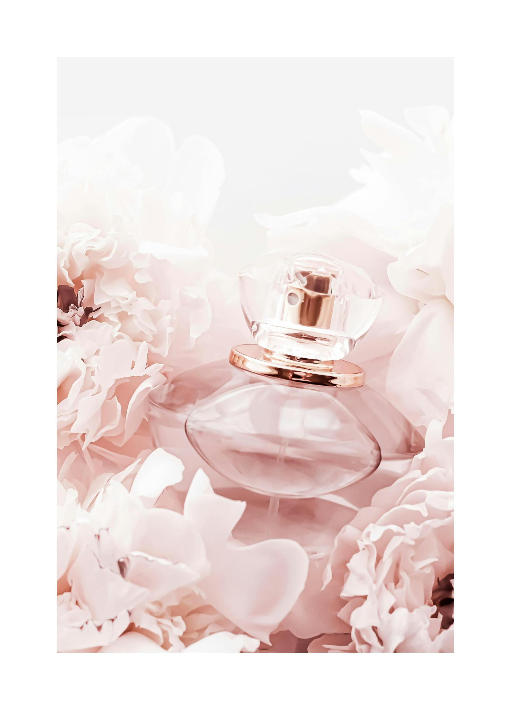 Roze Parfum Poster (21x30 cm) - Poster Store
