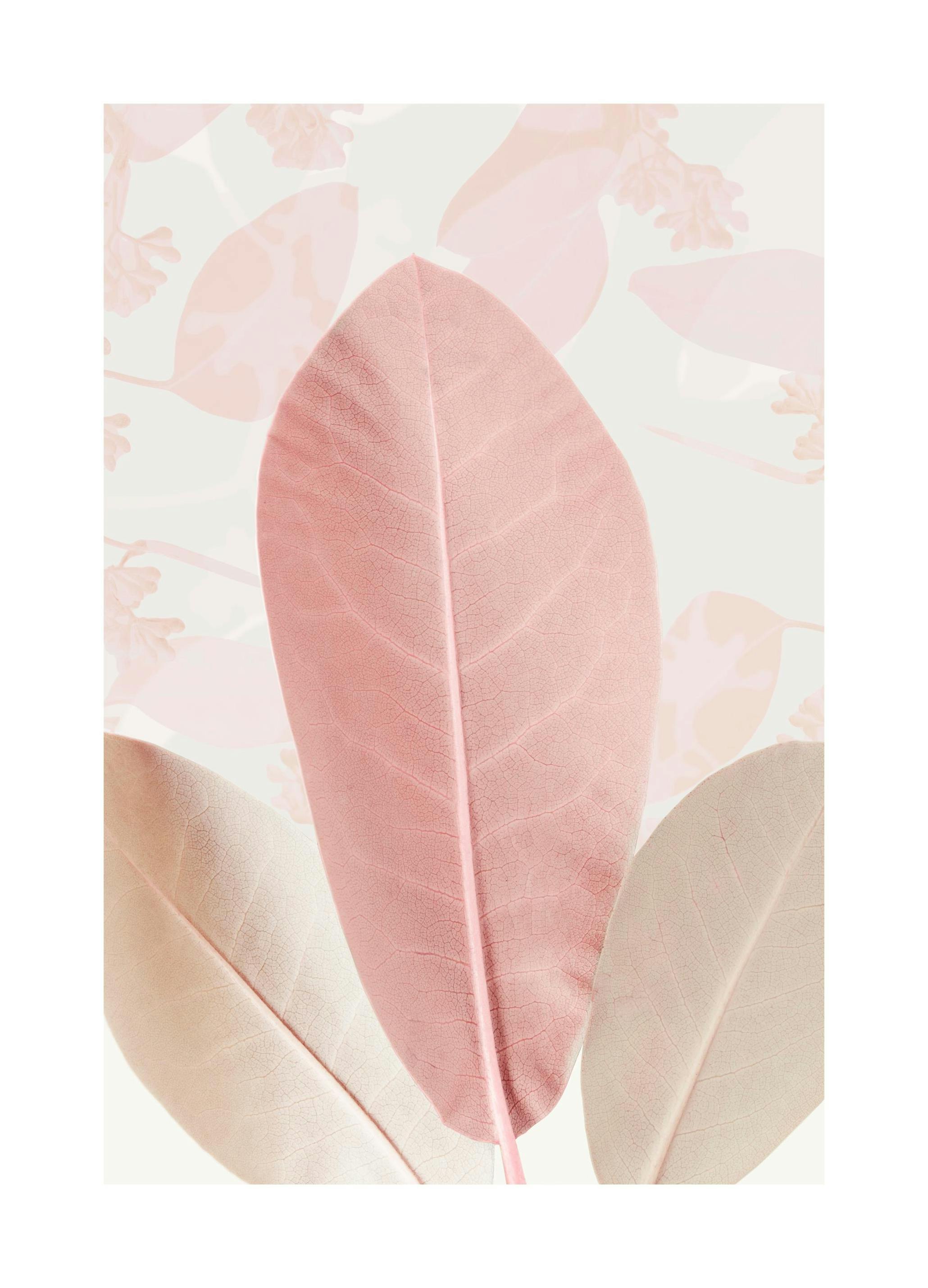 Feuilles Pastel Poster (30x40 cm) - Poster Store