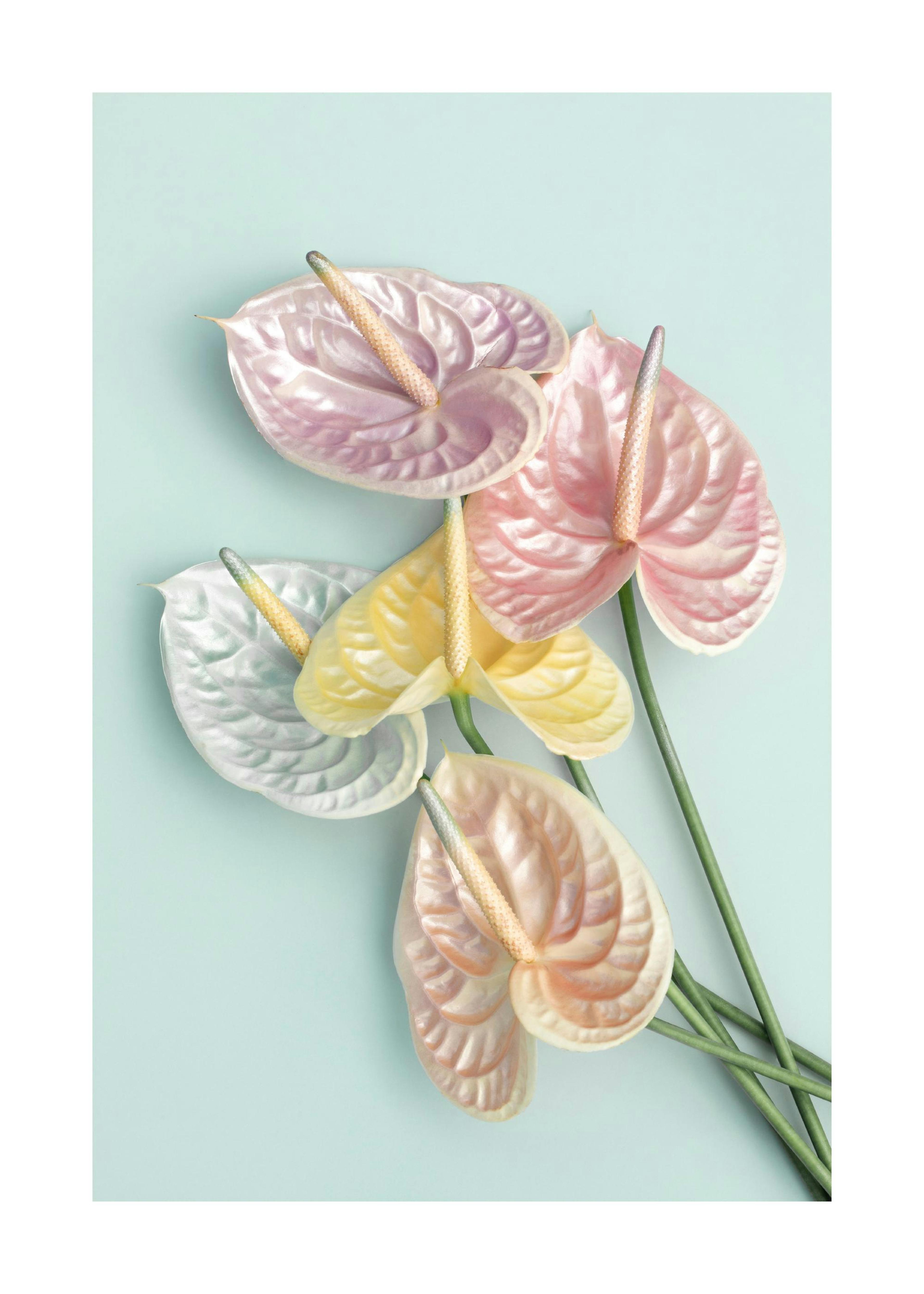 Shimmery Flowers Poster 0