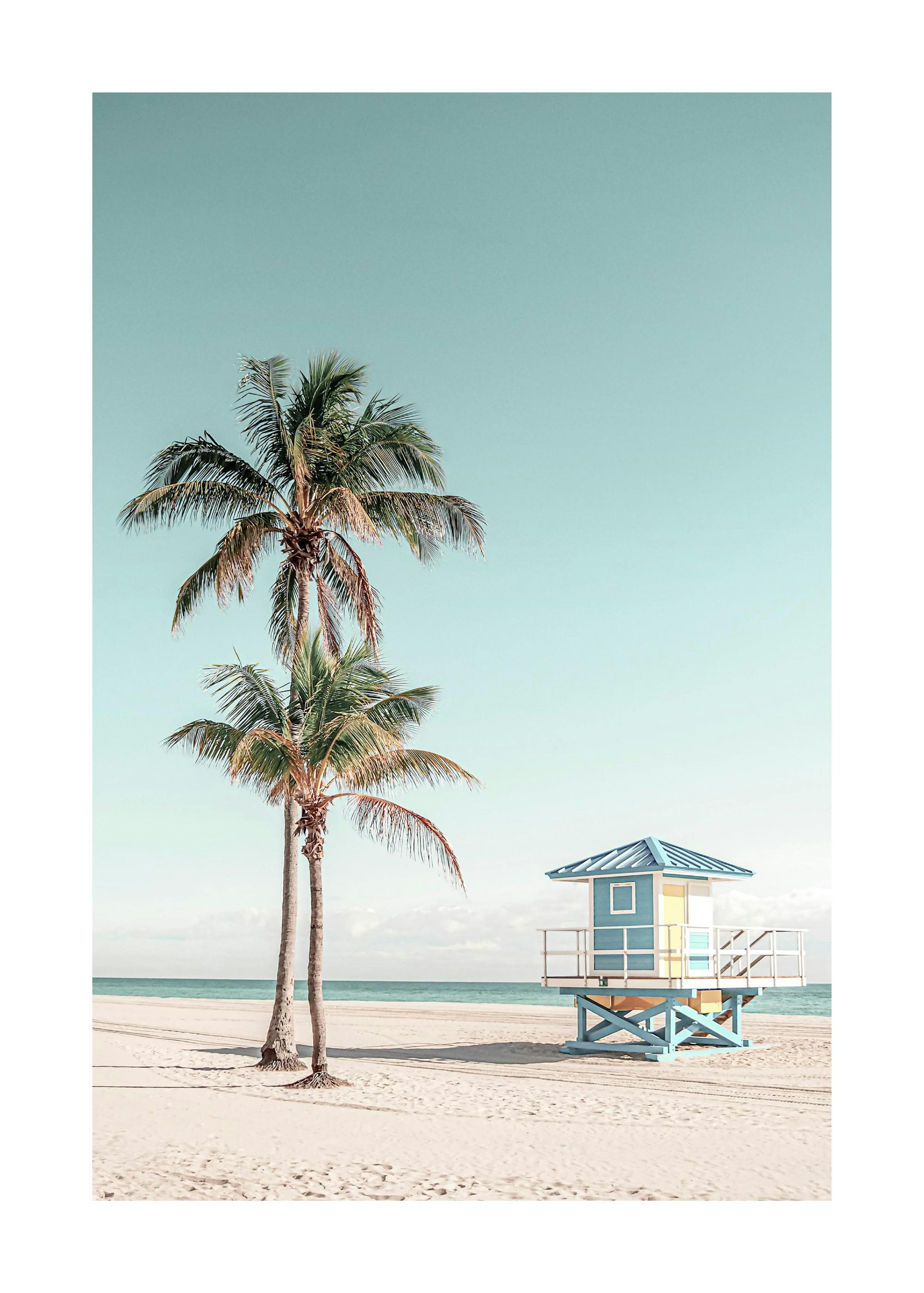 Palm Beach Poster 0