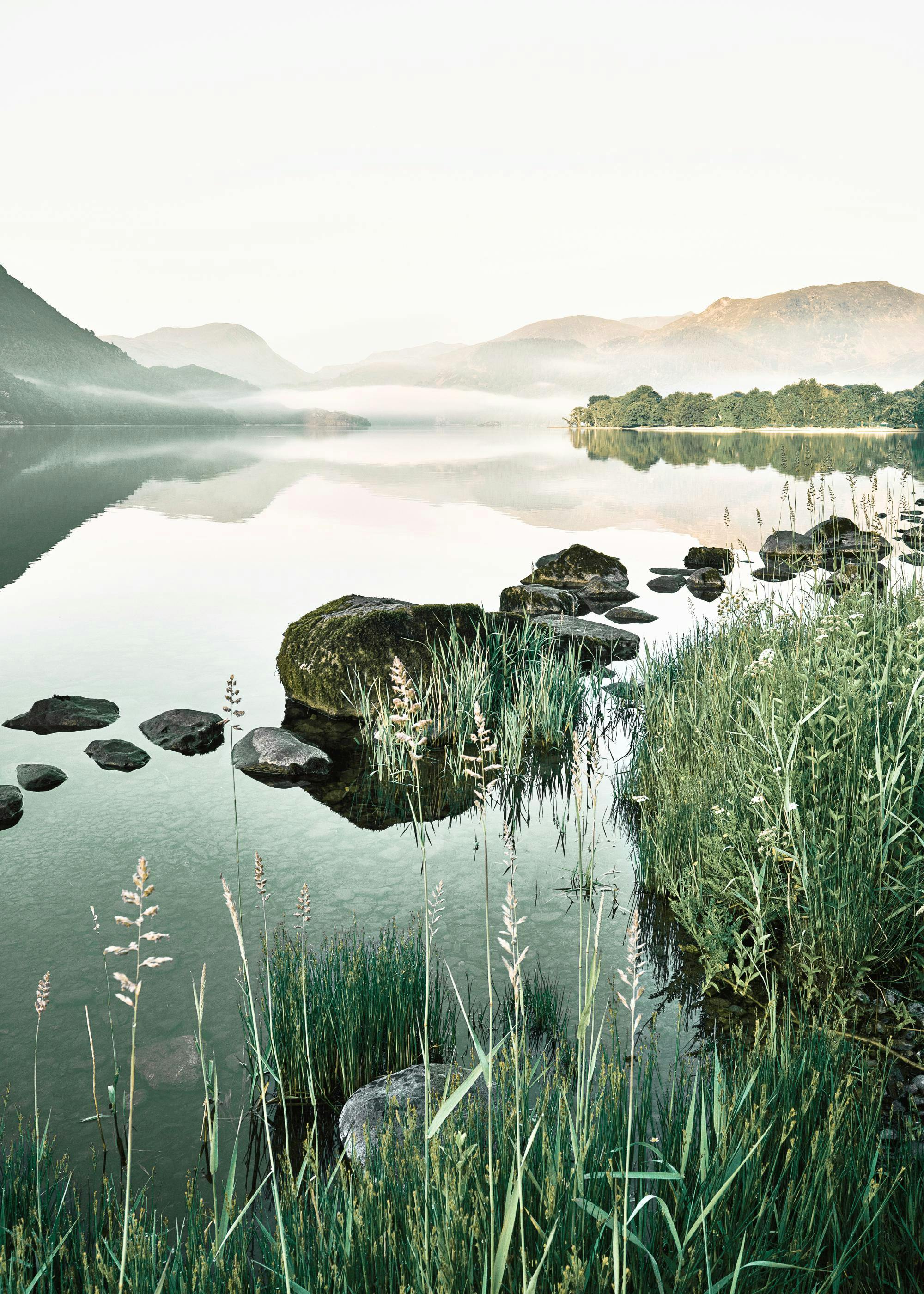 Mistige Rivier Poster 0