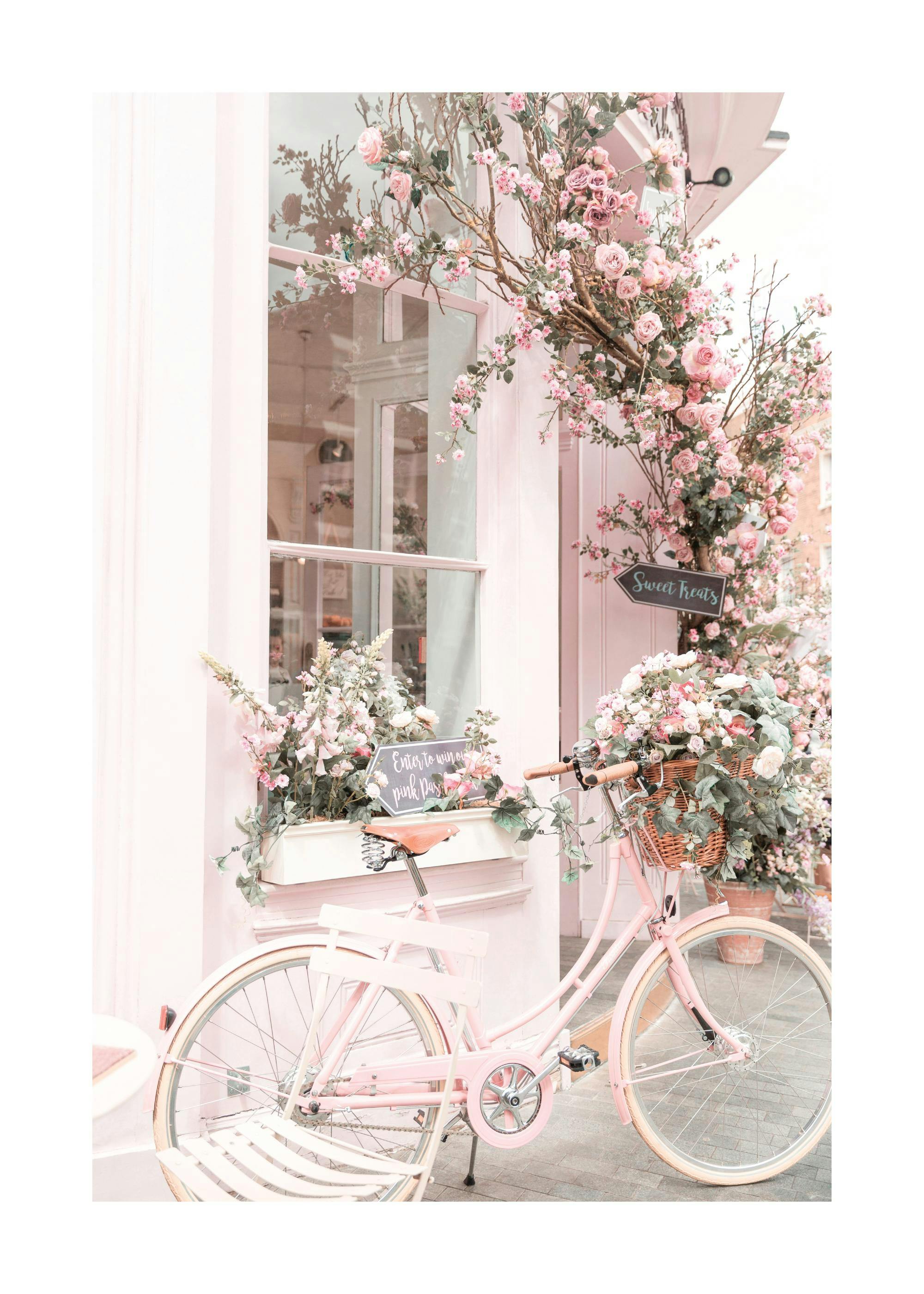 Pink Bicycle Poster 0
