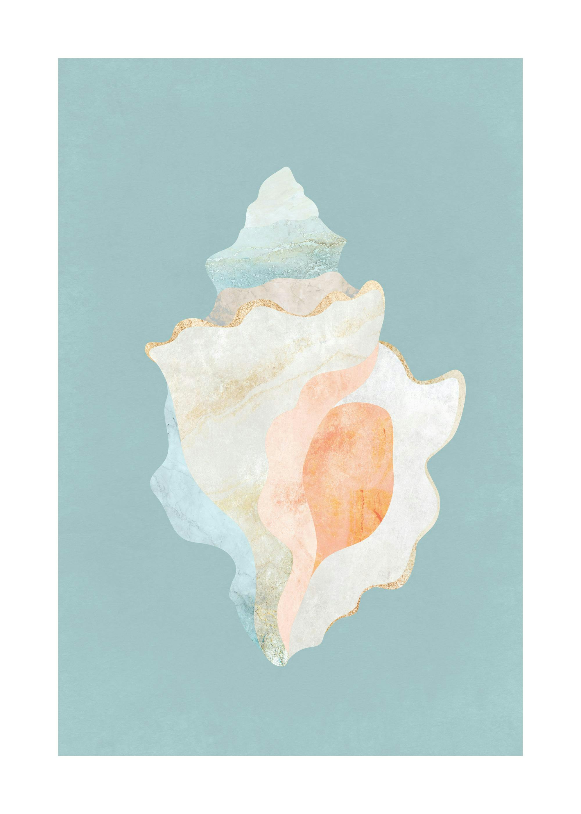 Graphic Seashell Poster 0