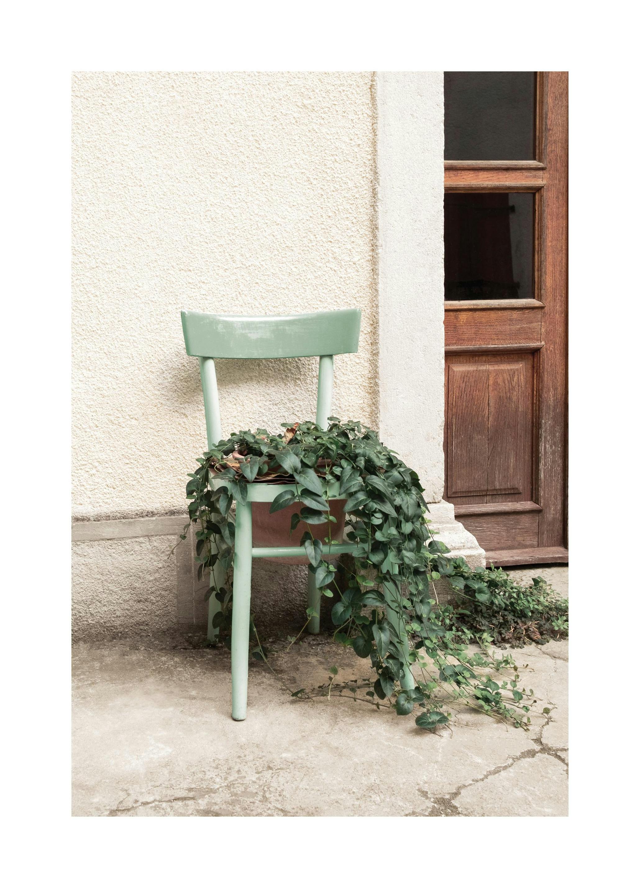 Planten Stoel Poster (50x70 cm) - Poster Store