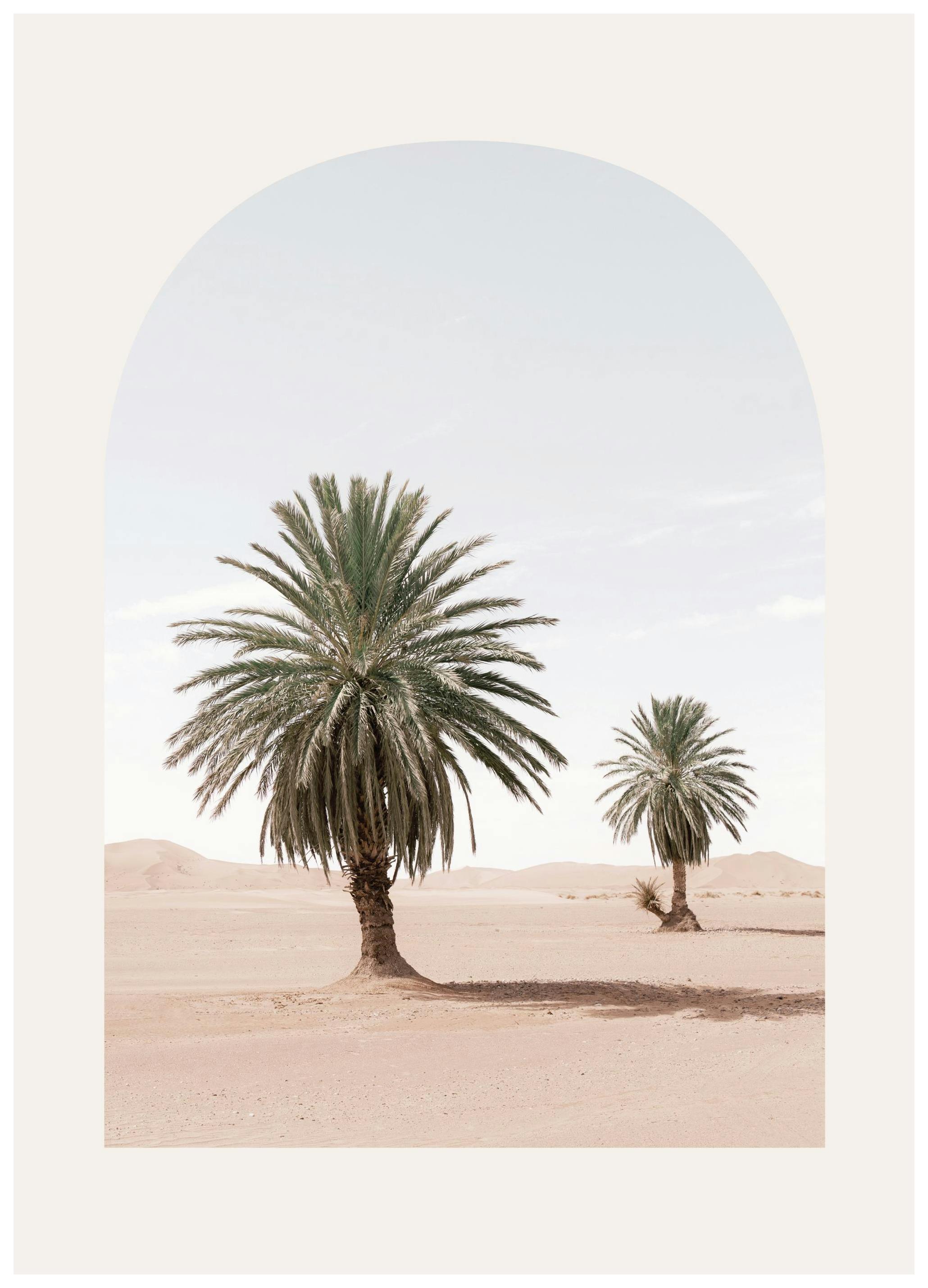 Woestijn Palmen Poster (30x40 cm) - Poster Store