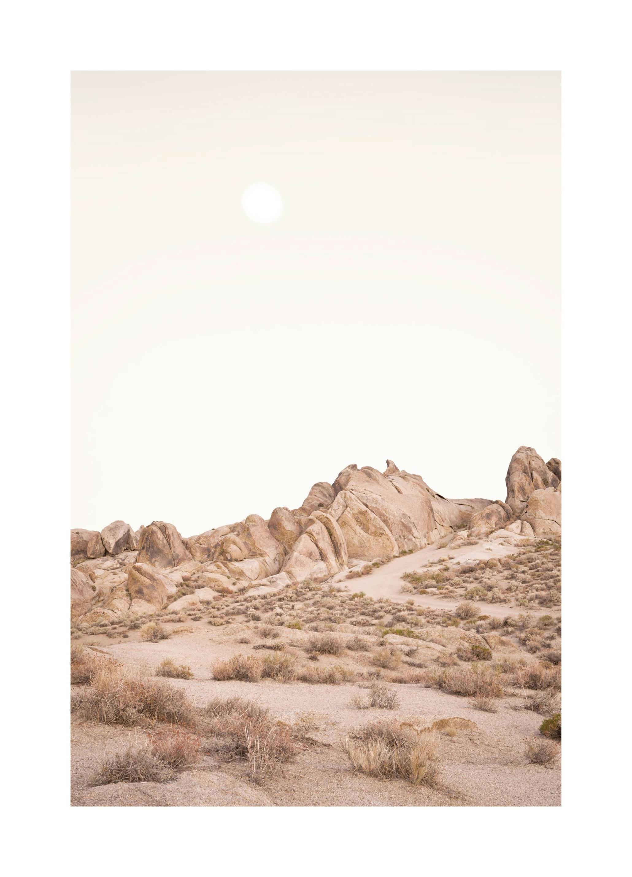 Woestijn Wildernis Poster (50x70 cm) - Poster Store
