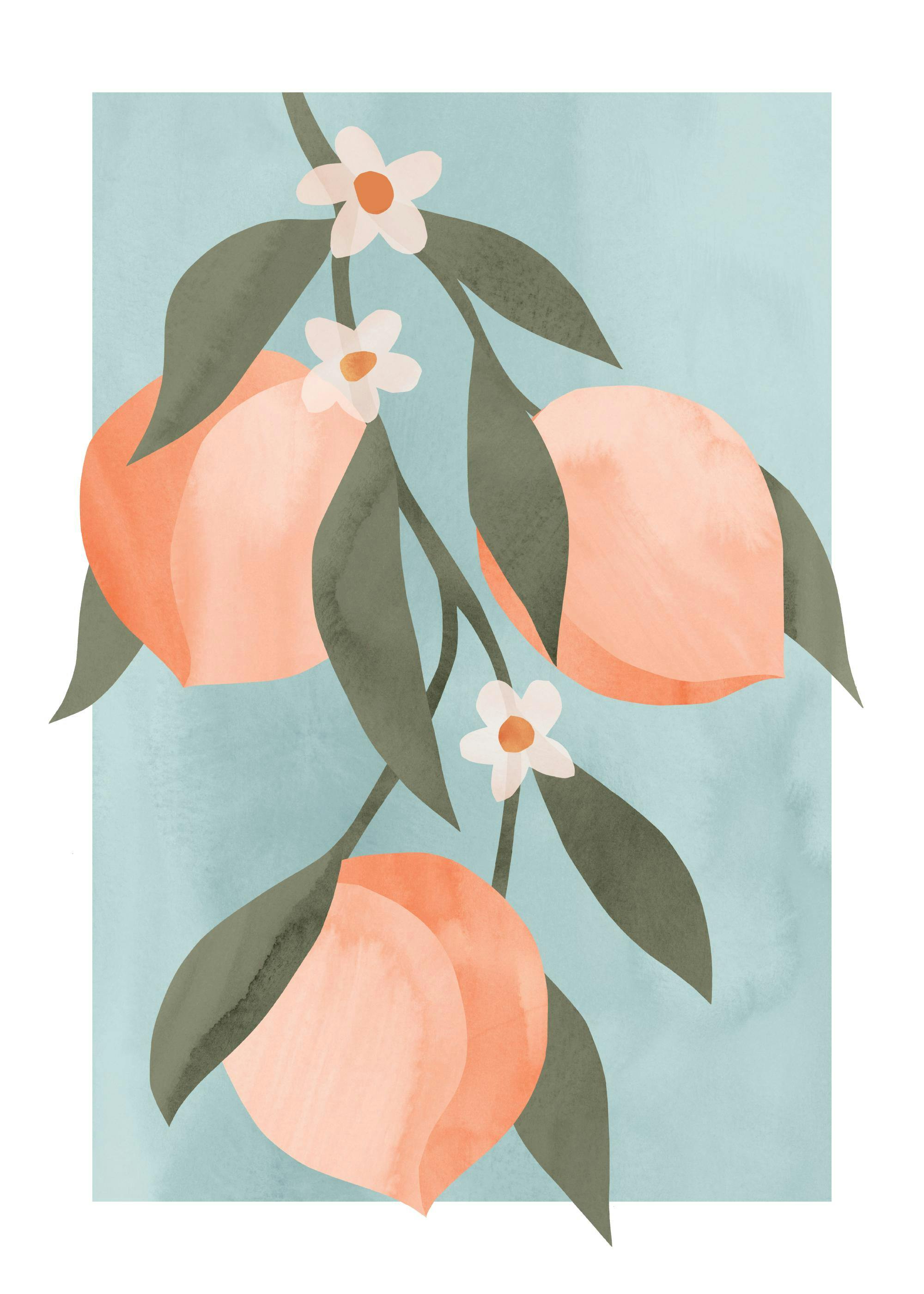 Branche de Pêches Abstraite Poster 0