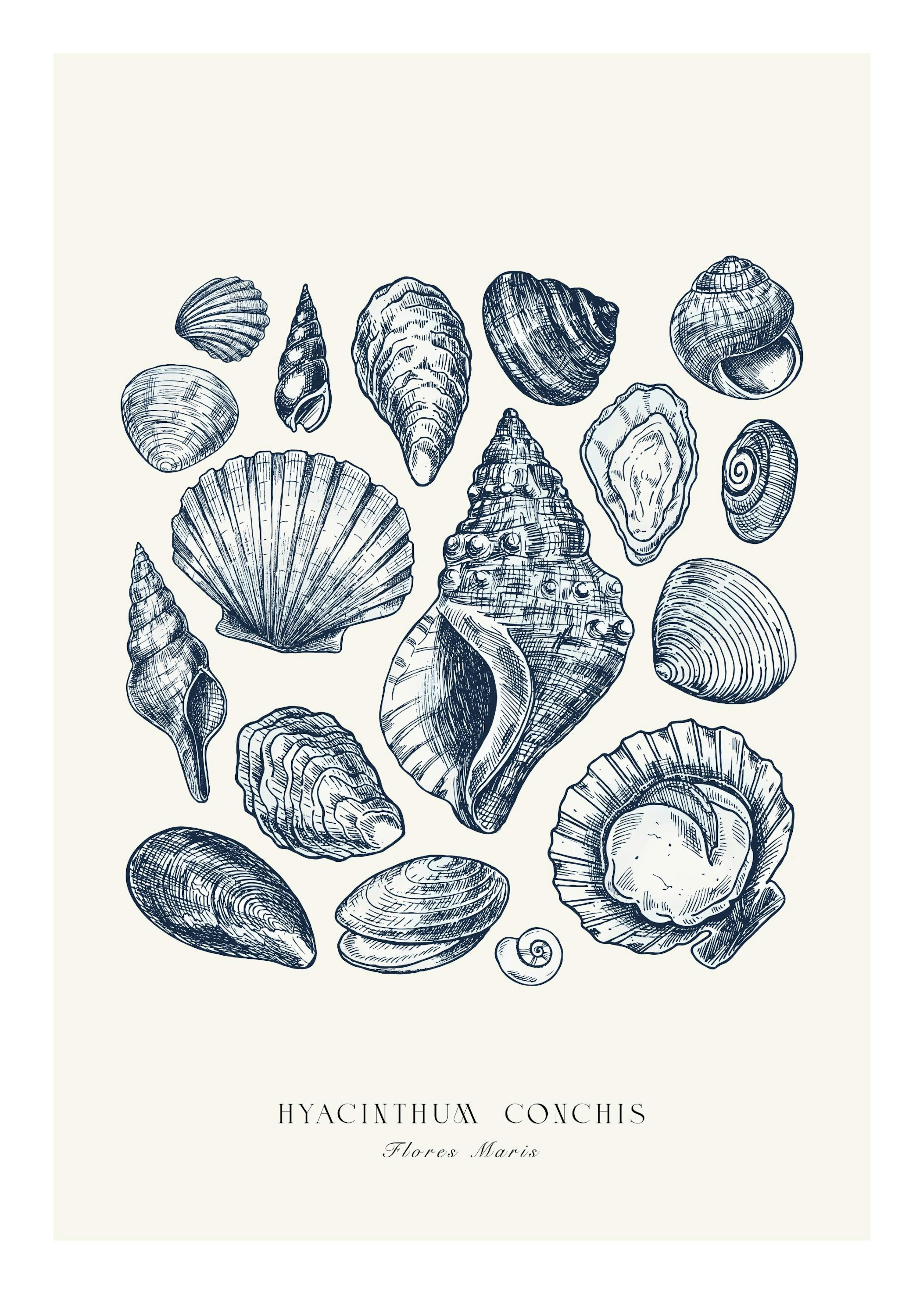 Blaue Muscheln Poster 0