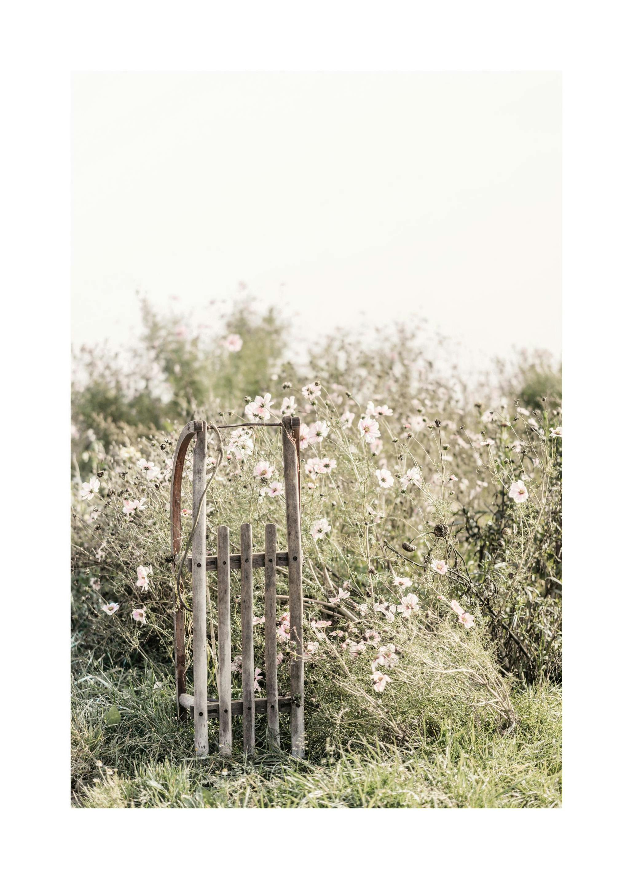 Clôture de Fleurs Poster (30x40 cm) - Poster Store