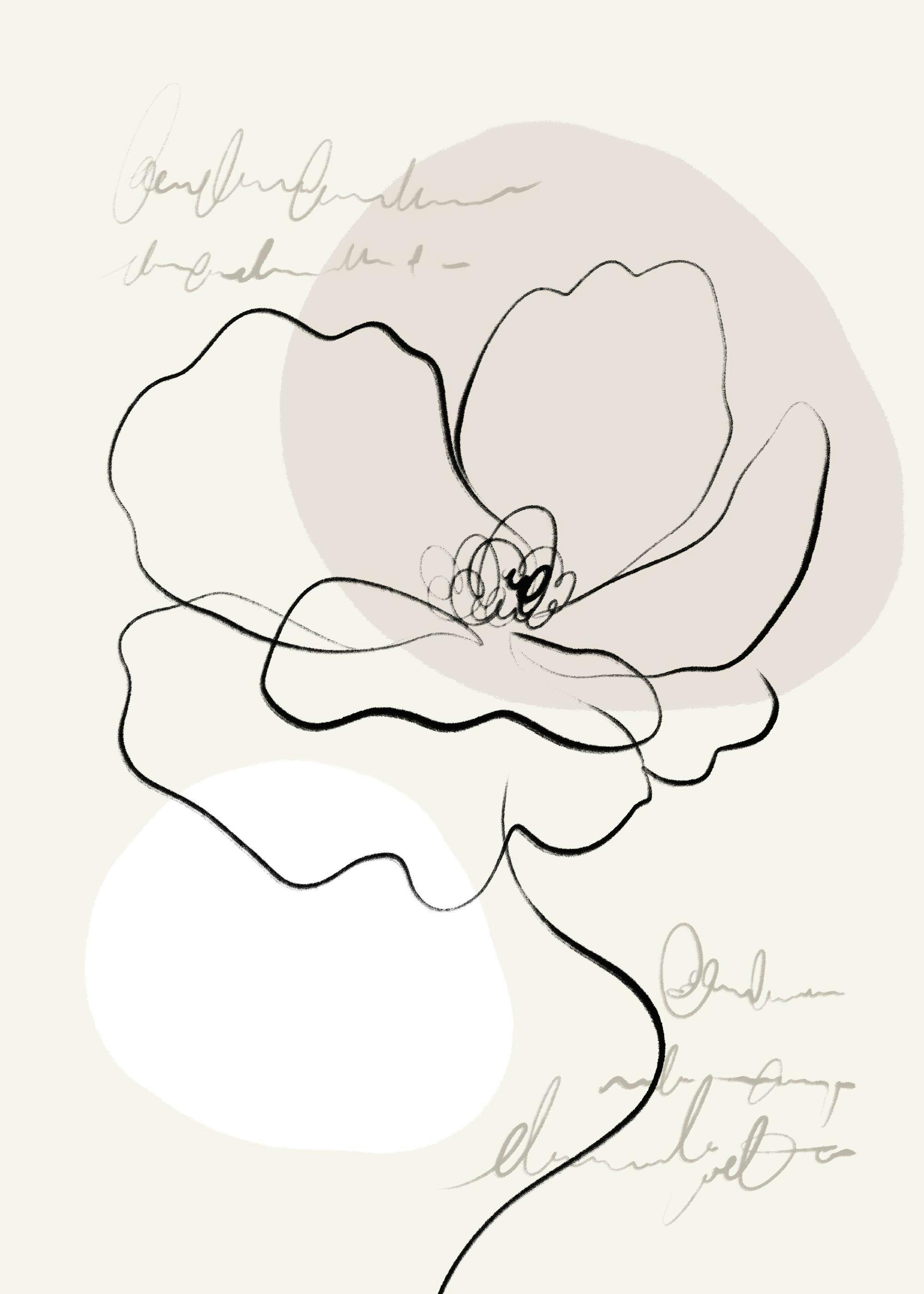 Line Art Flower No1 Poster 0