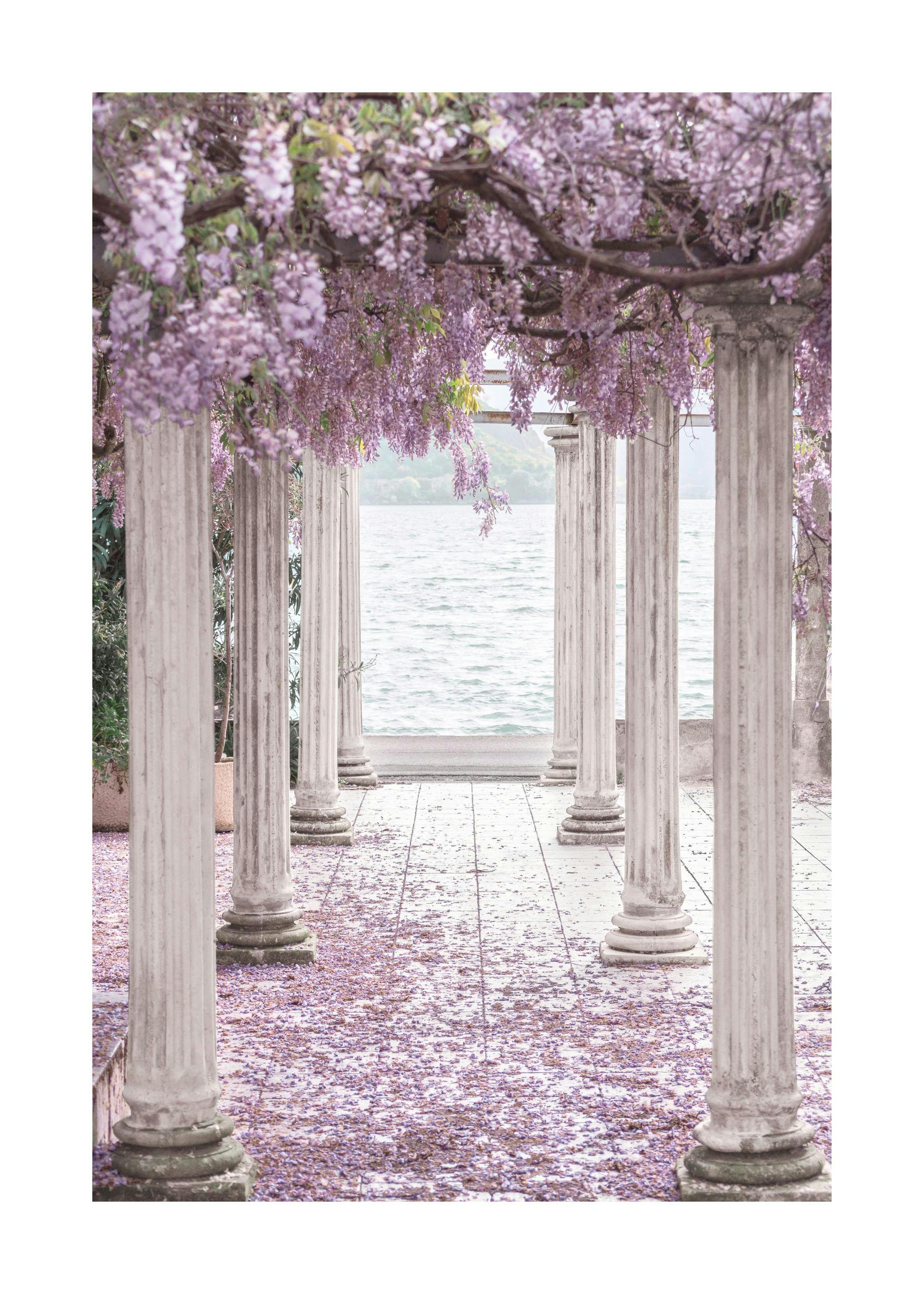Wisteria Pillars Poster 0