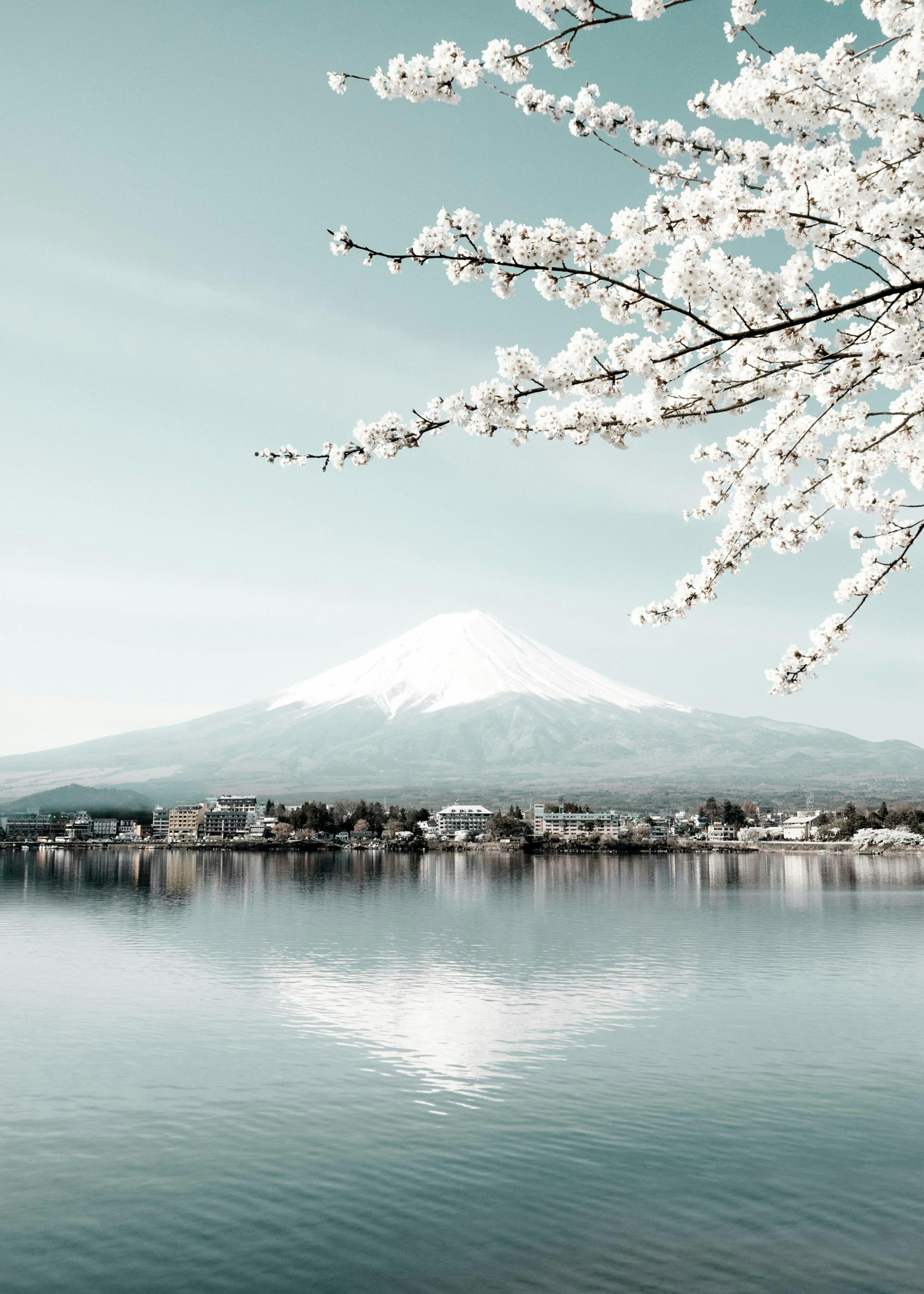 Fujiyama-Poster 0