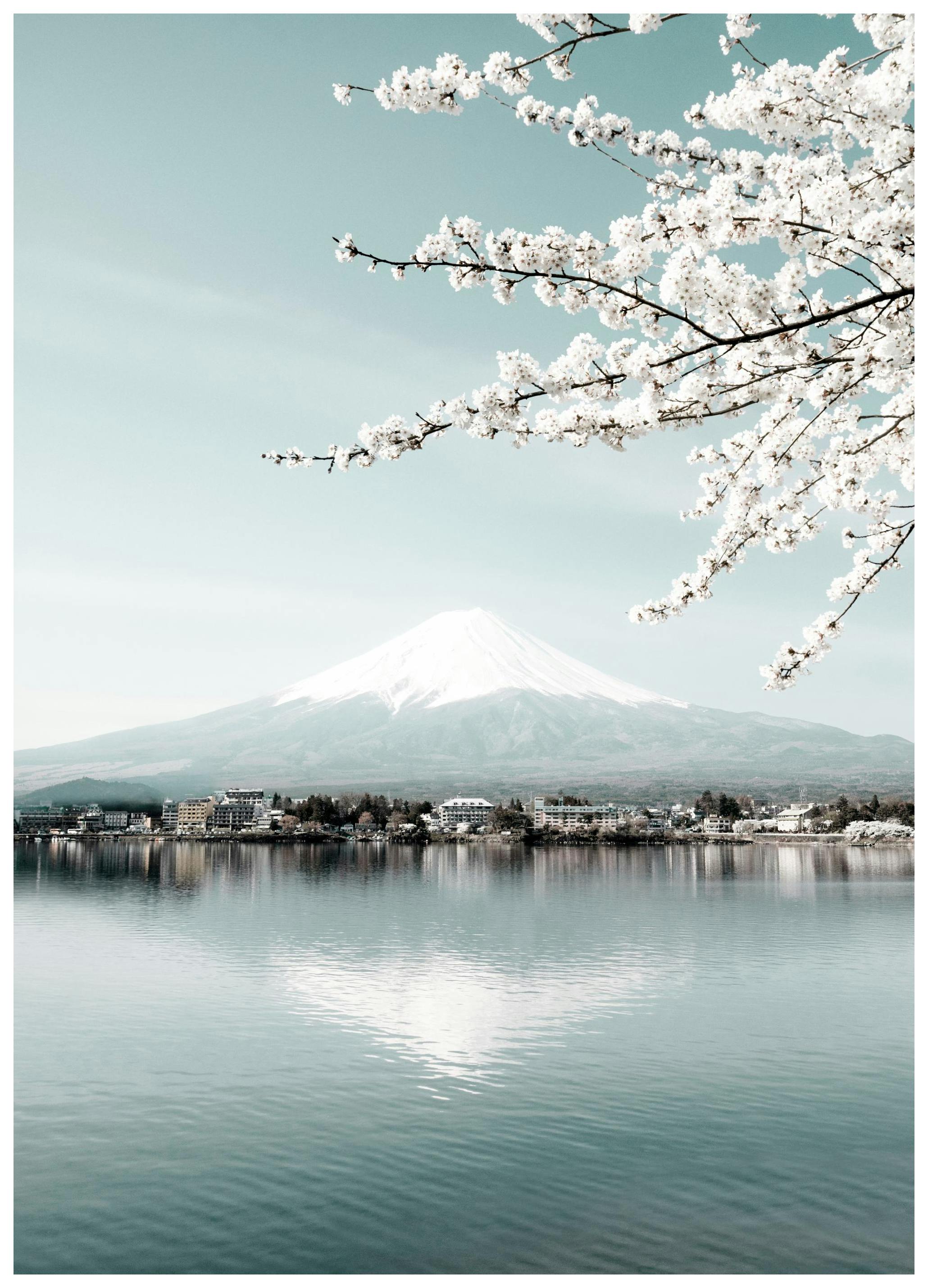 Fujiyama Poster (30x40 cm) - Poster Store