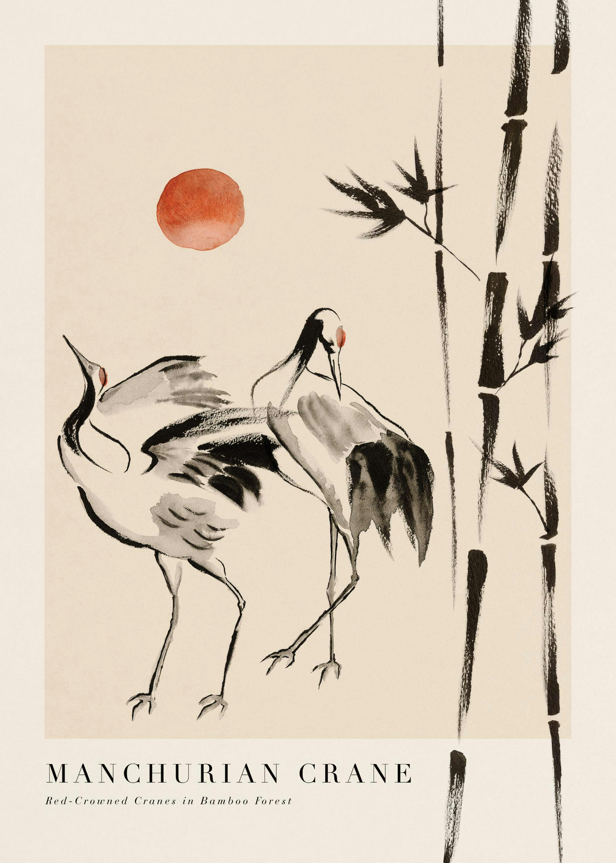Manchurian Crane Poster 0