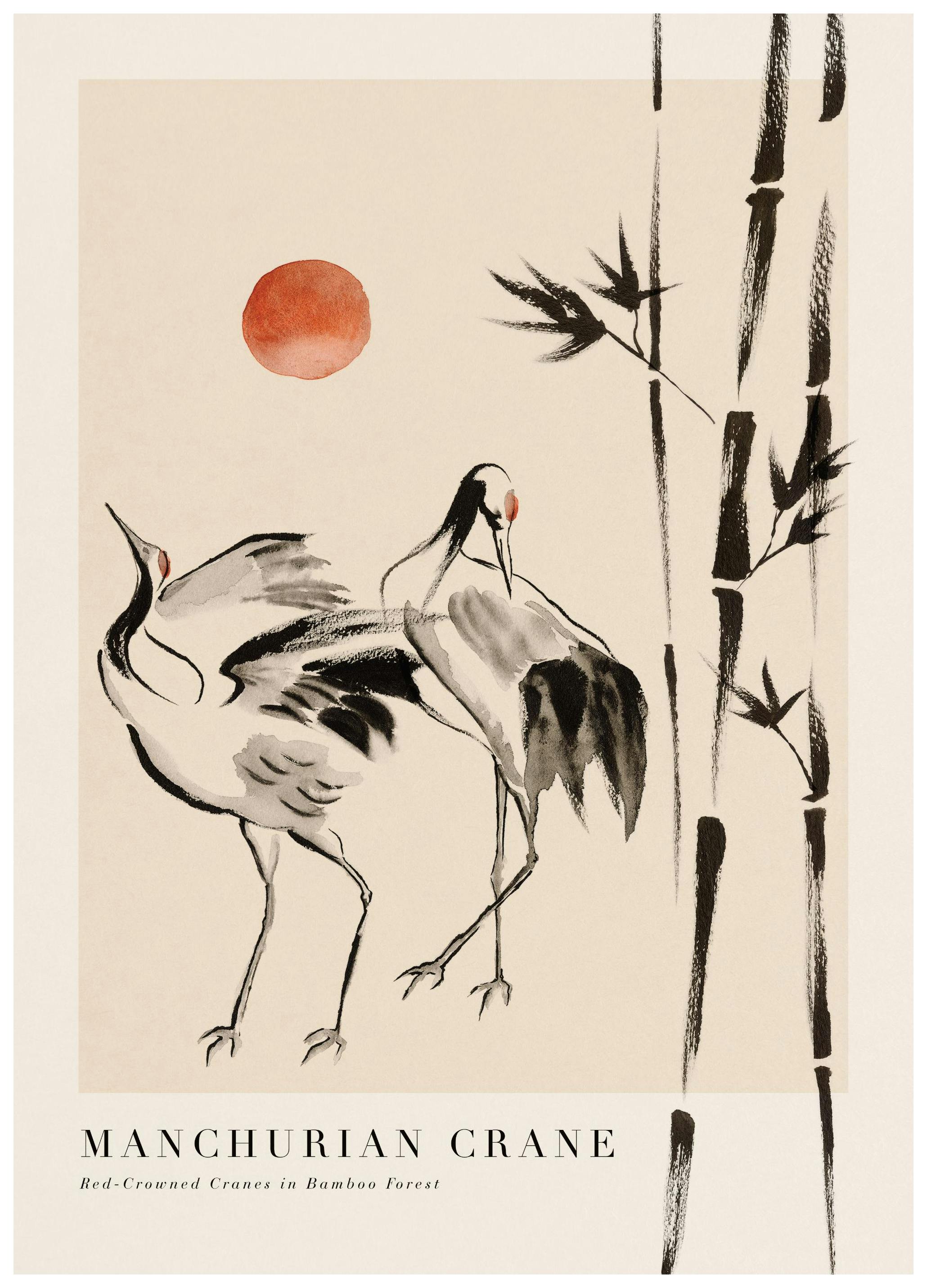 Manchurian Kraanposter (30x40 cm) - Poster Store