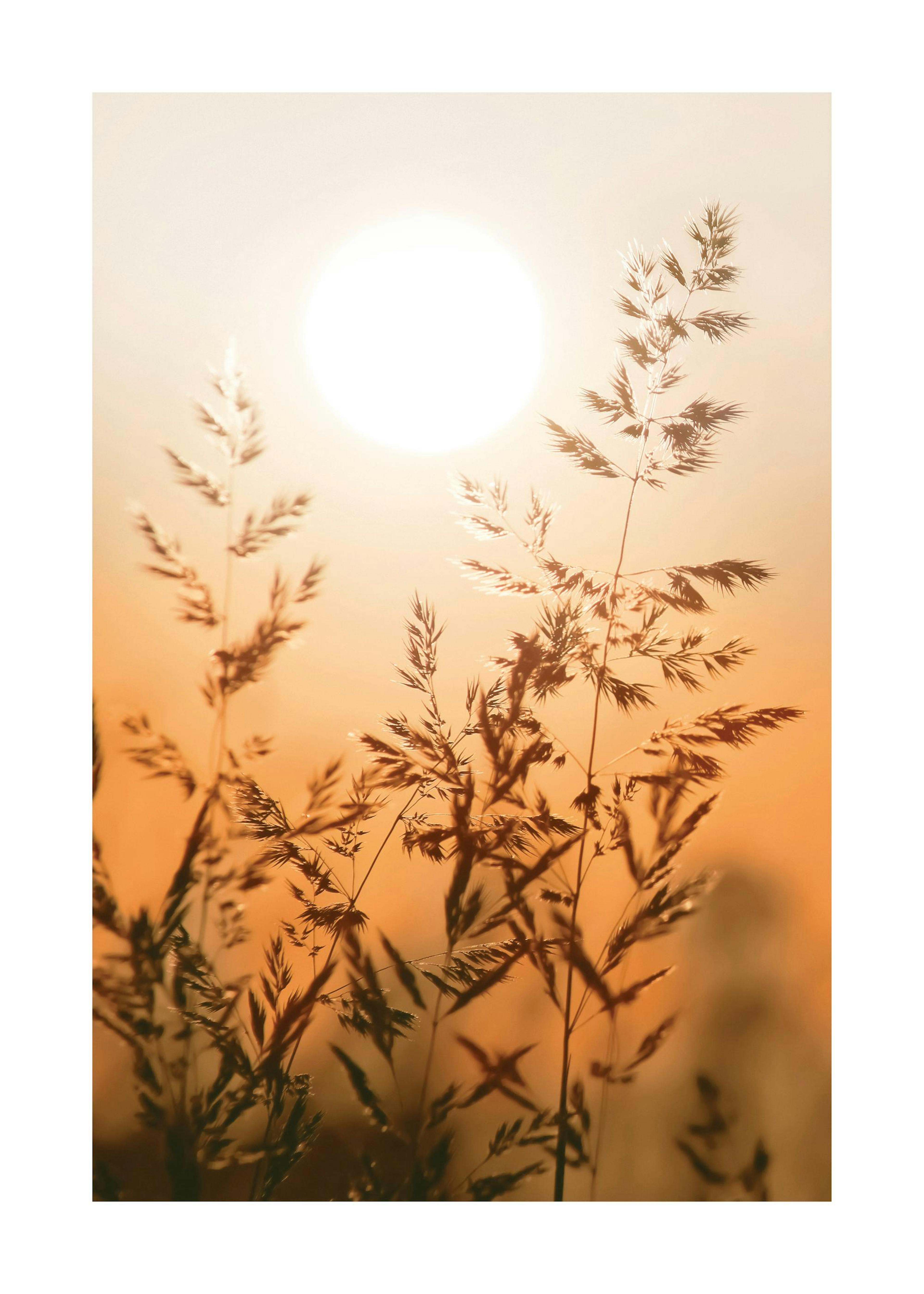Lot de Posters Coucher de Soleil Silence thumbnail