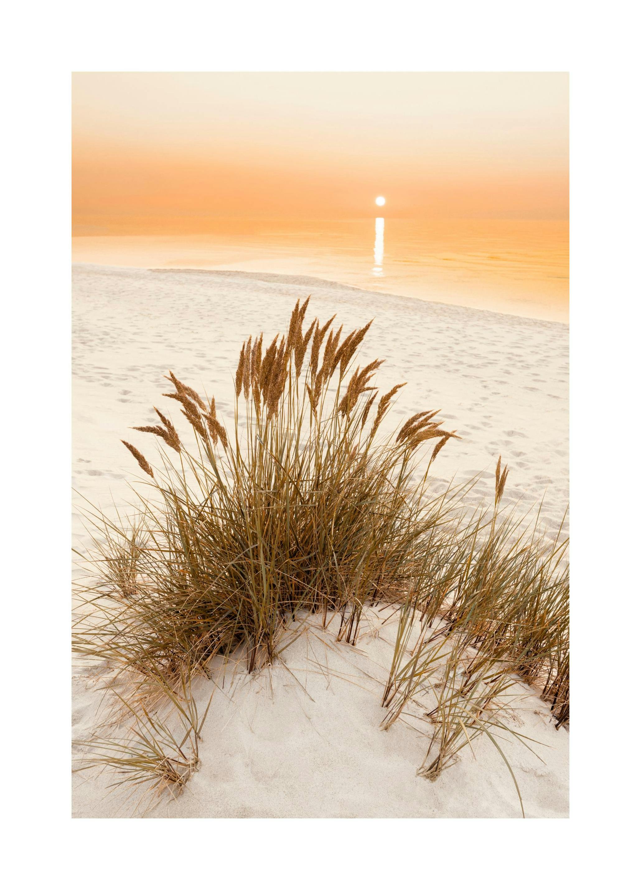 Gouden Strand Gras Poster (21x30 cm) - Poster Store