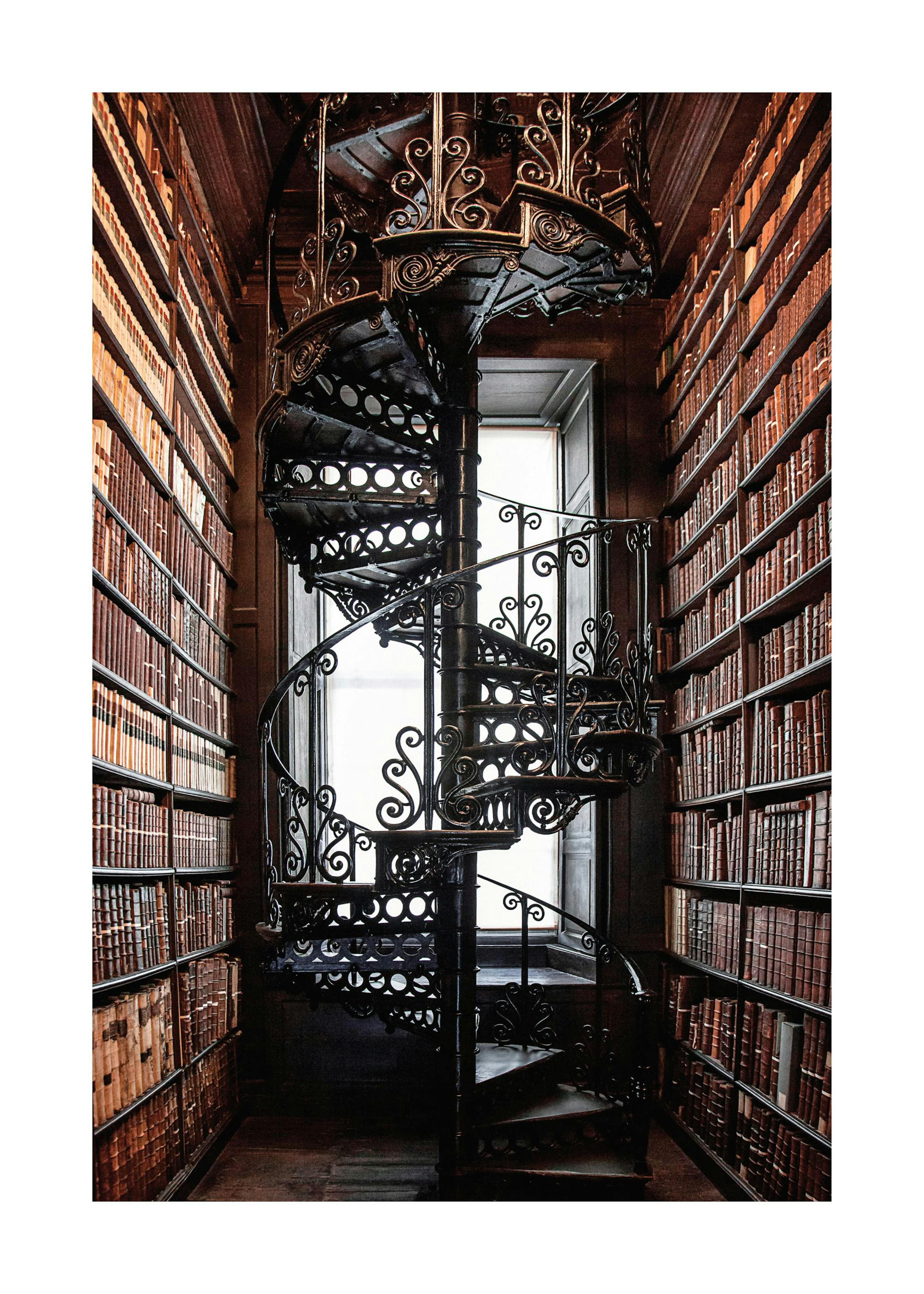 Biblioteca Scara Poster 0