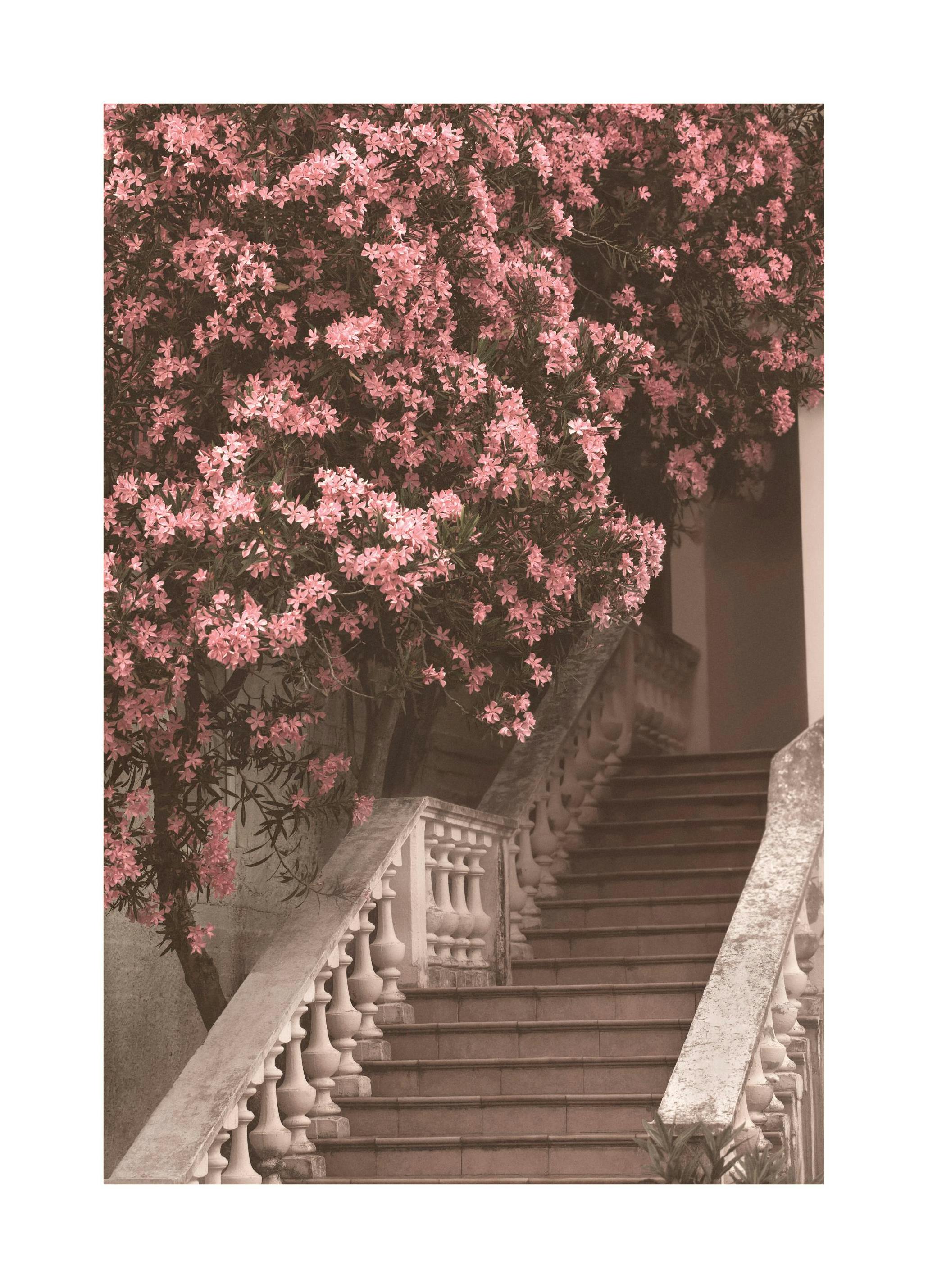 Flower Staircase (30x40 cm) - Poster Store