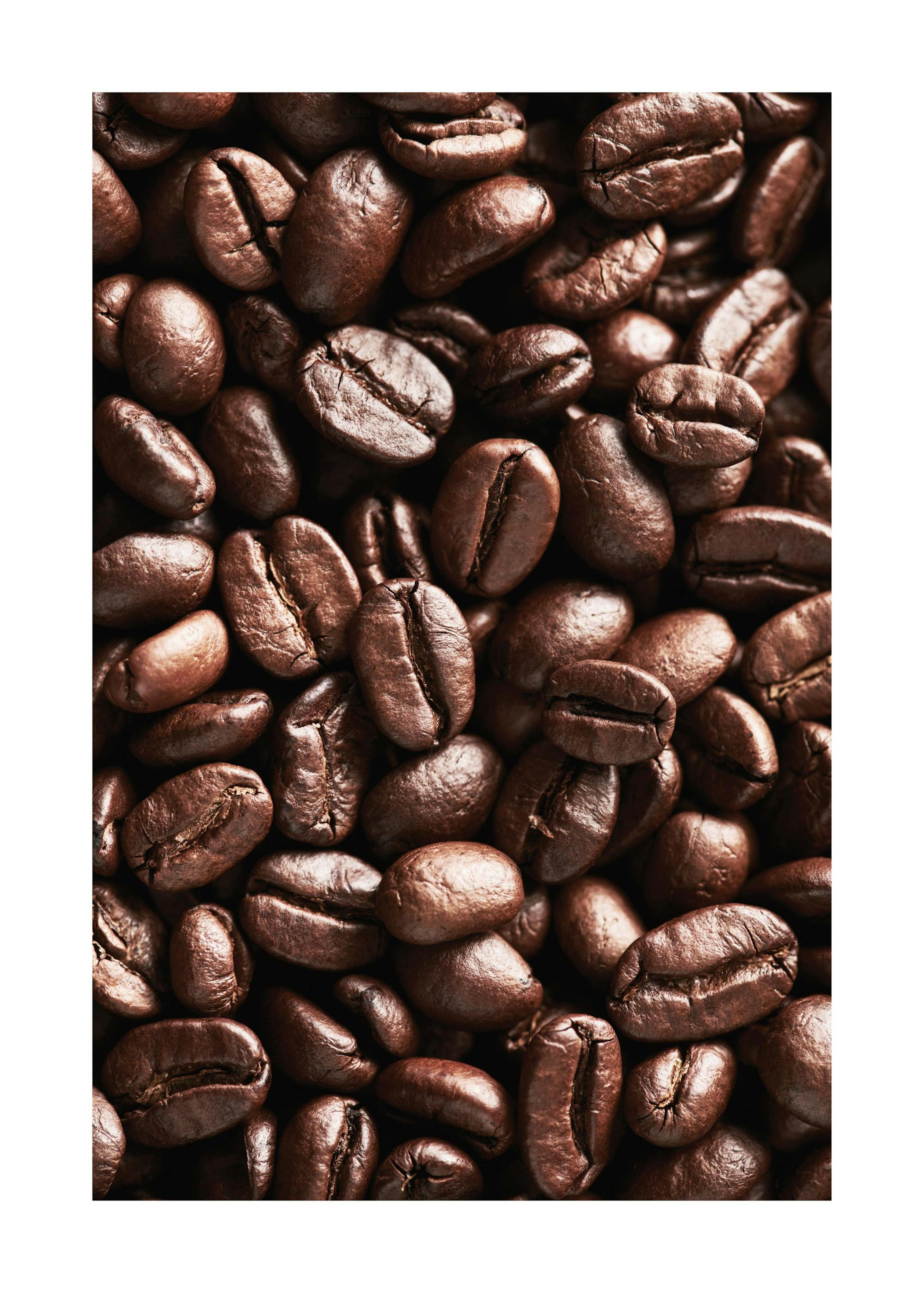 Affiche de grains de café 0