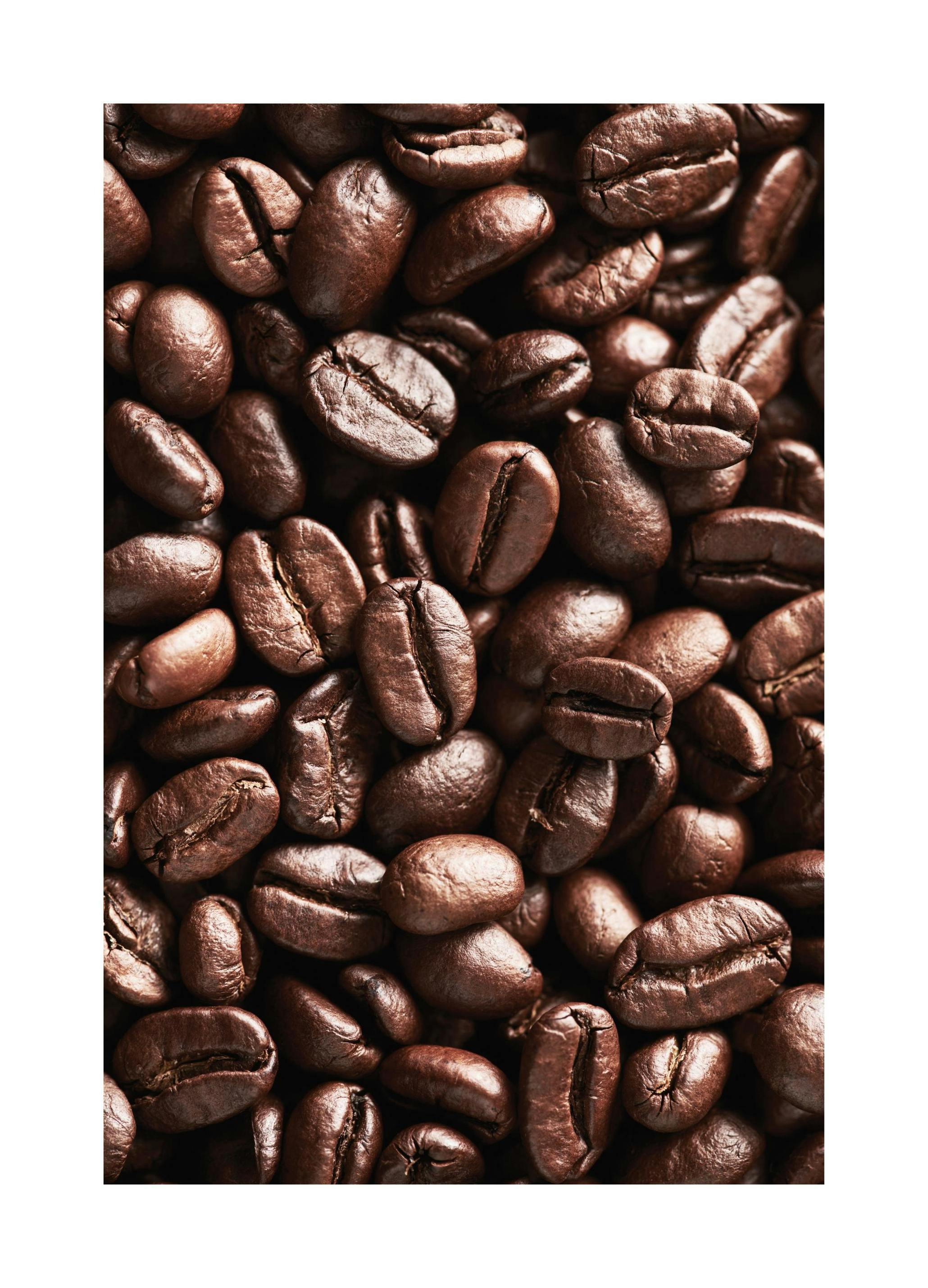 Poster di chicchi di caffè (21x30 cm) - Poster Store