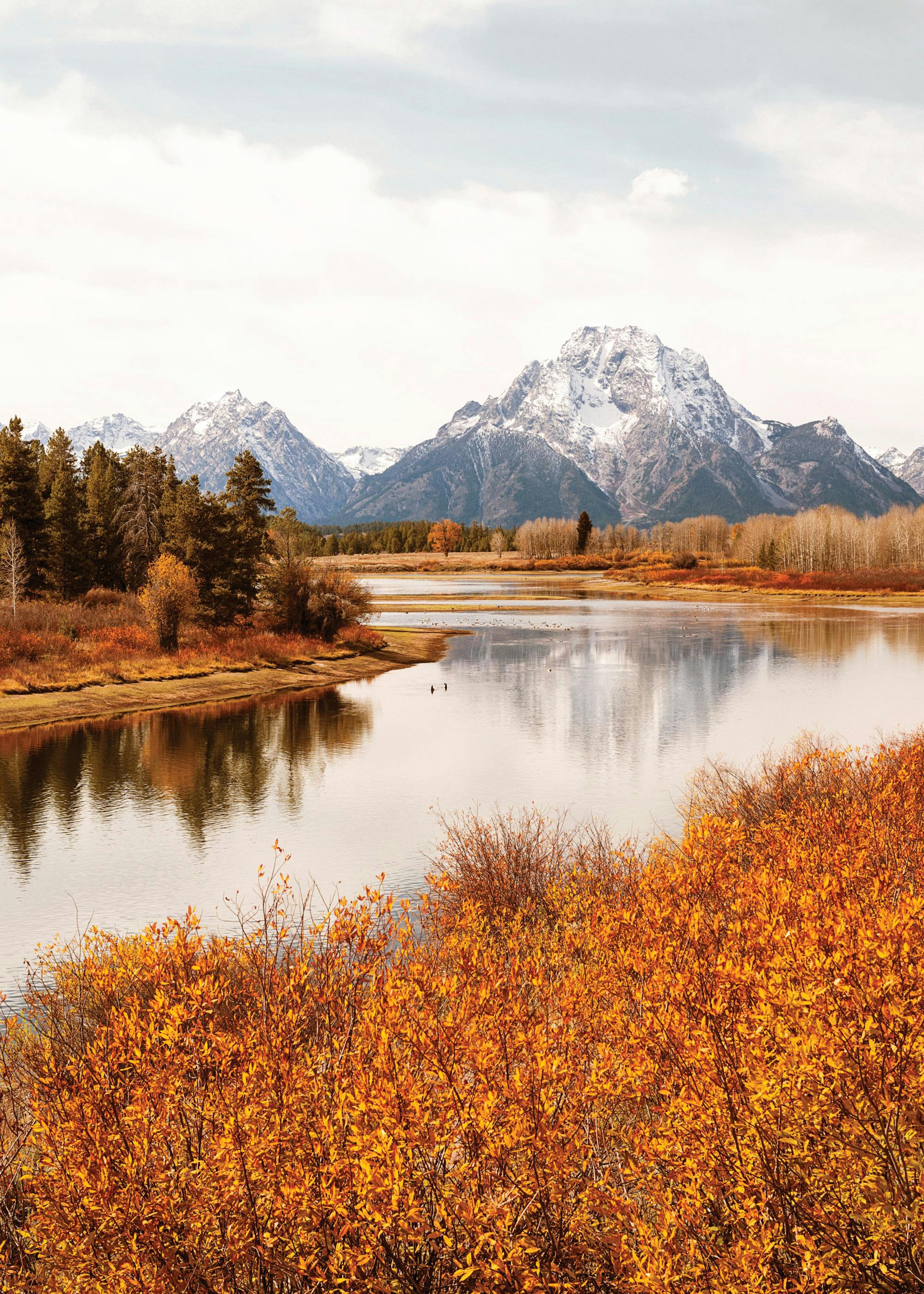 Oxbow Bend Poster 0