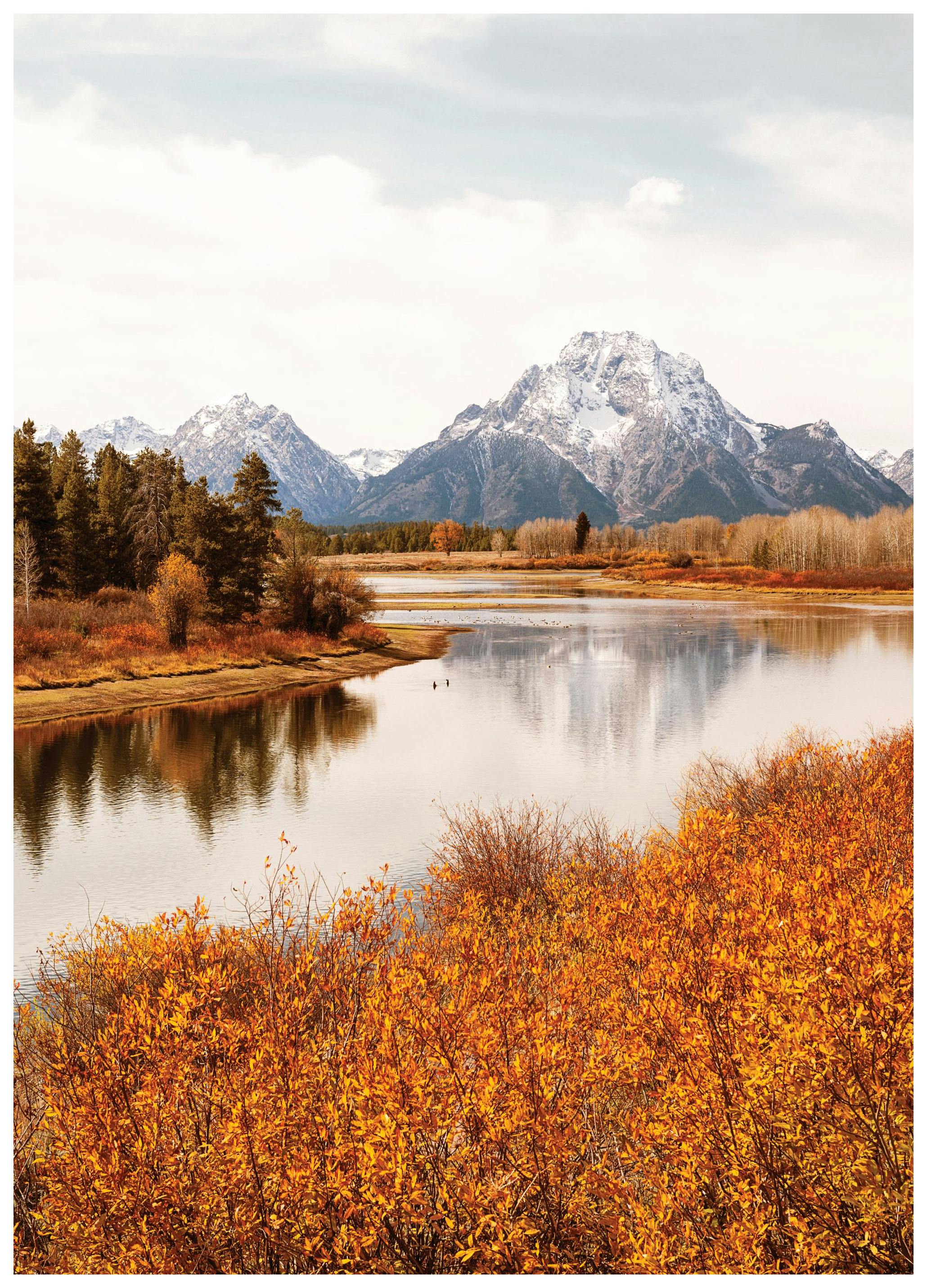 Oxbow Bend plakát (30x40 cm) - Poster Store