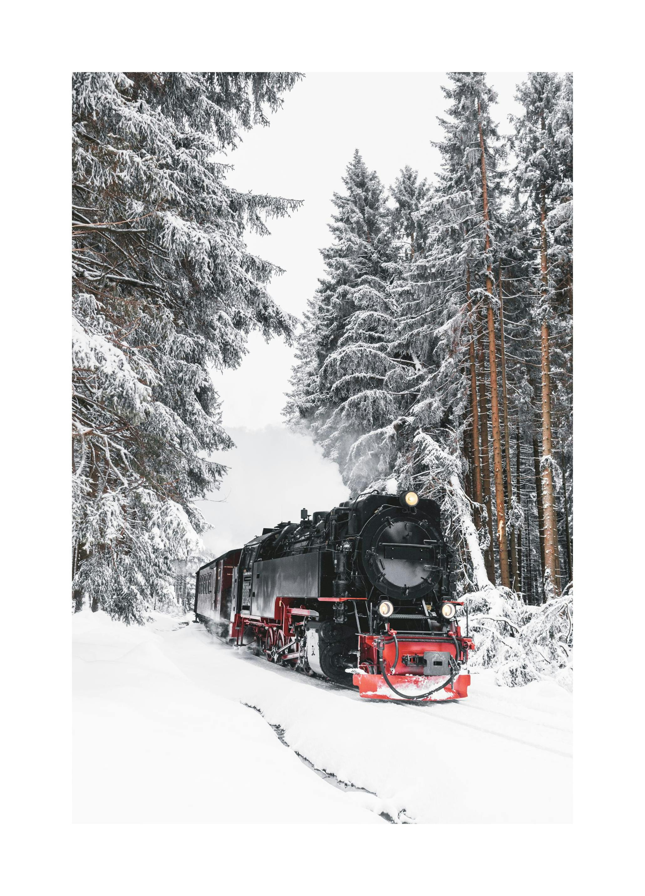 Winter Train Poster (21x30 cm) - Poster Store