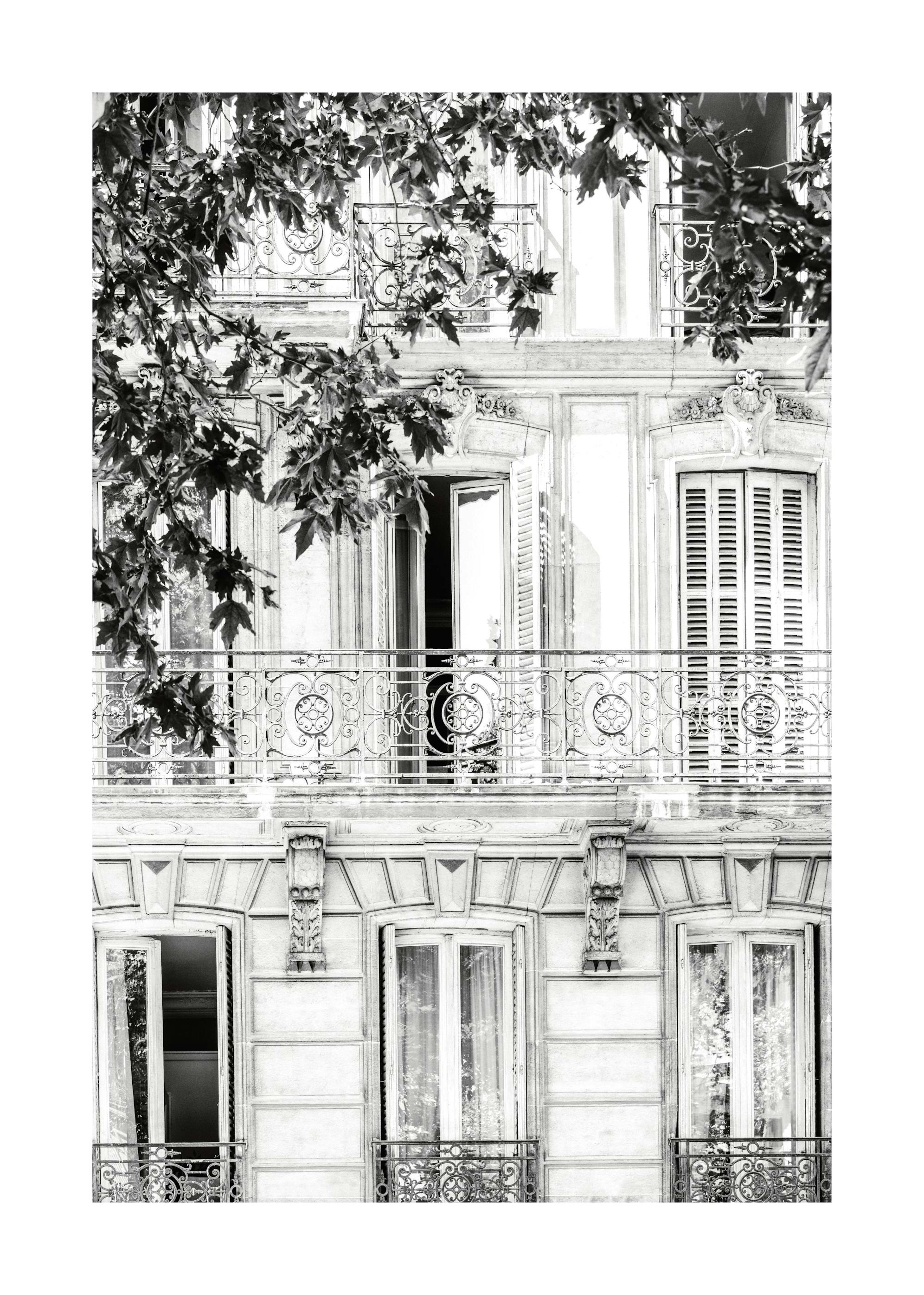 Affiche de façade monochrome 0