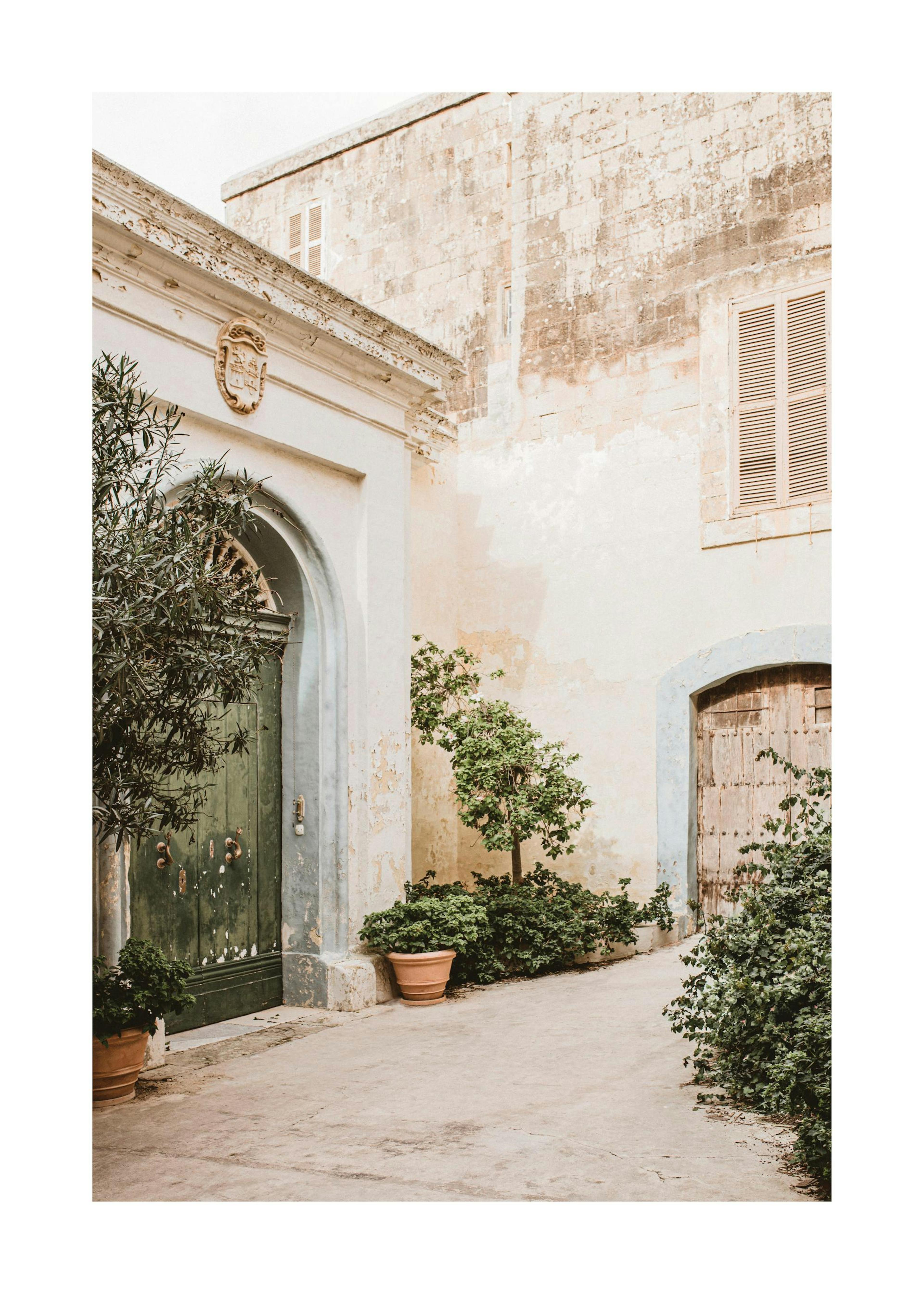 Piante in giardino Poster 0