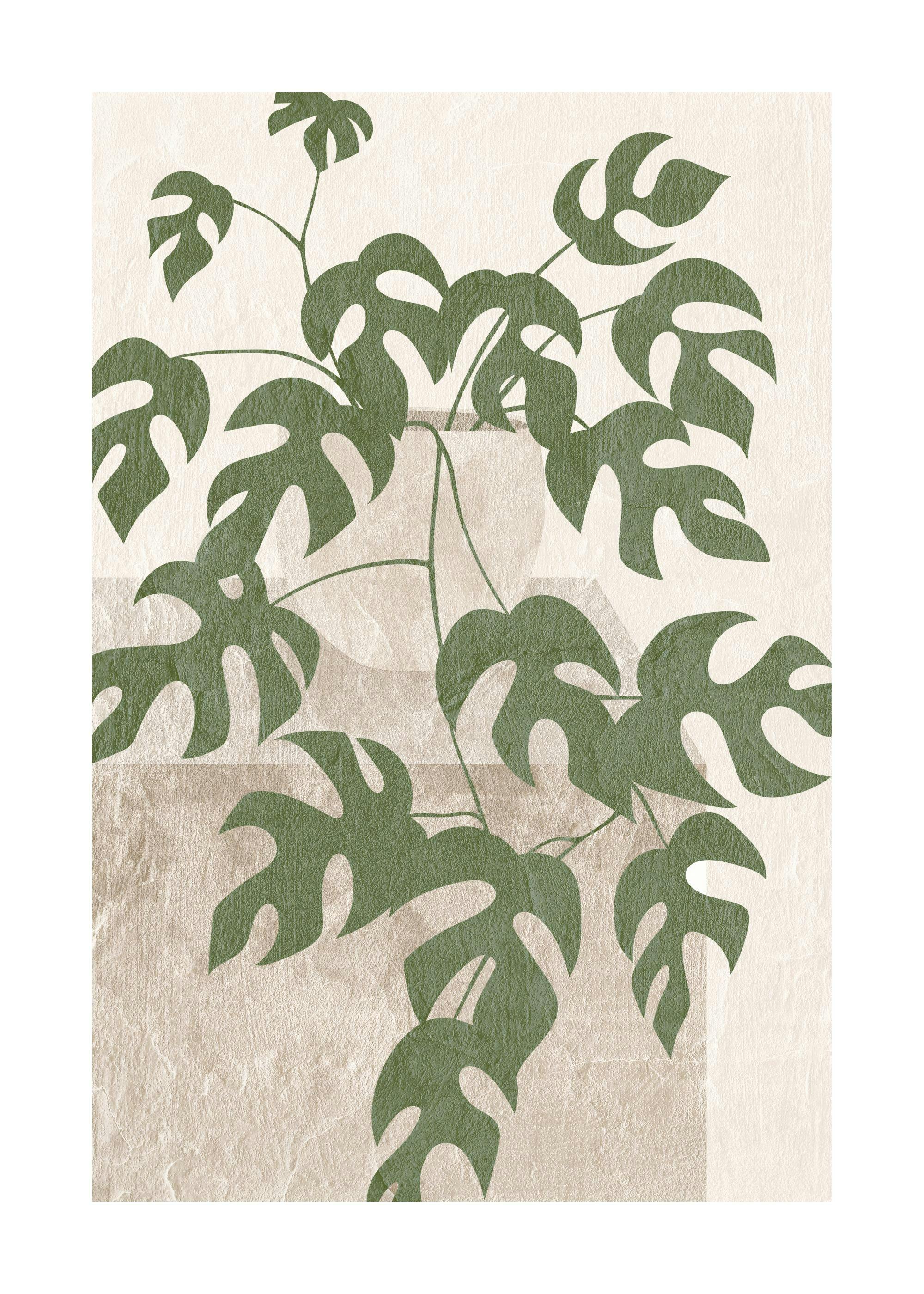 Monstera Illustration Affiche 0