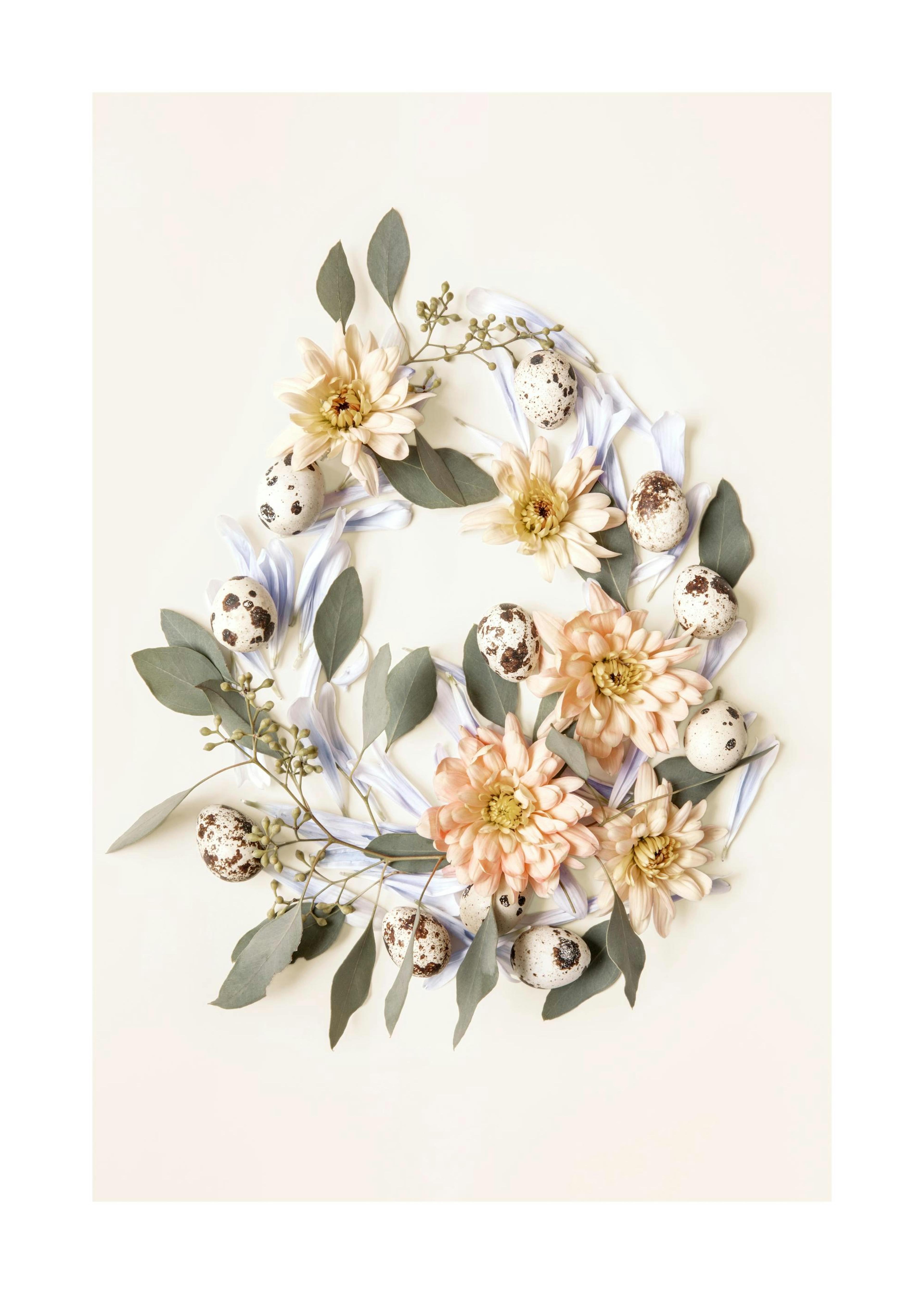 Botanical Egg Shape plakat 0